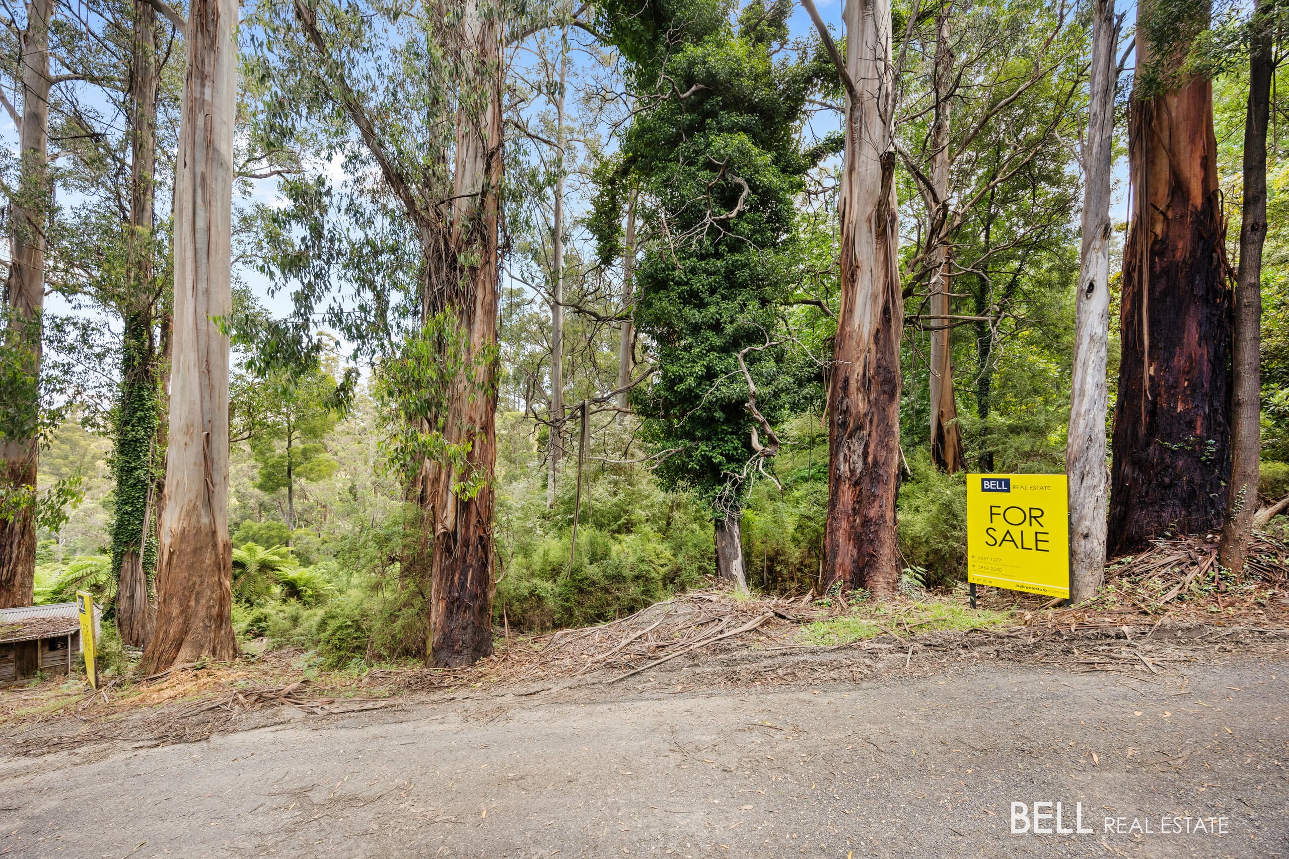 1 Essex Street, WARBURTON, Warburton - Thumbnail 2