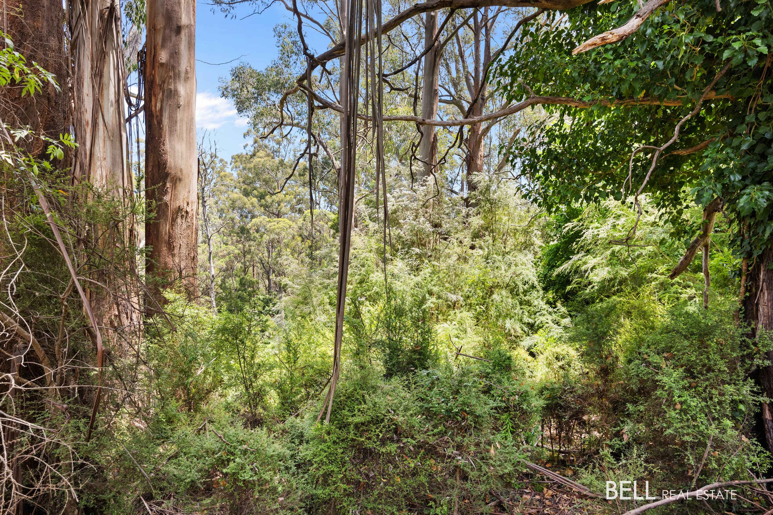 1 Essex Street, WARBURTON, Warburton - Thumbnail 3