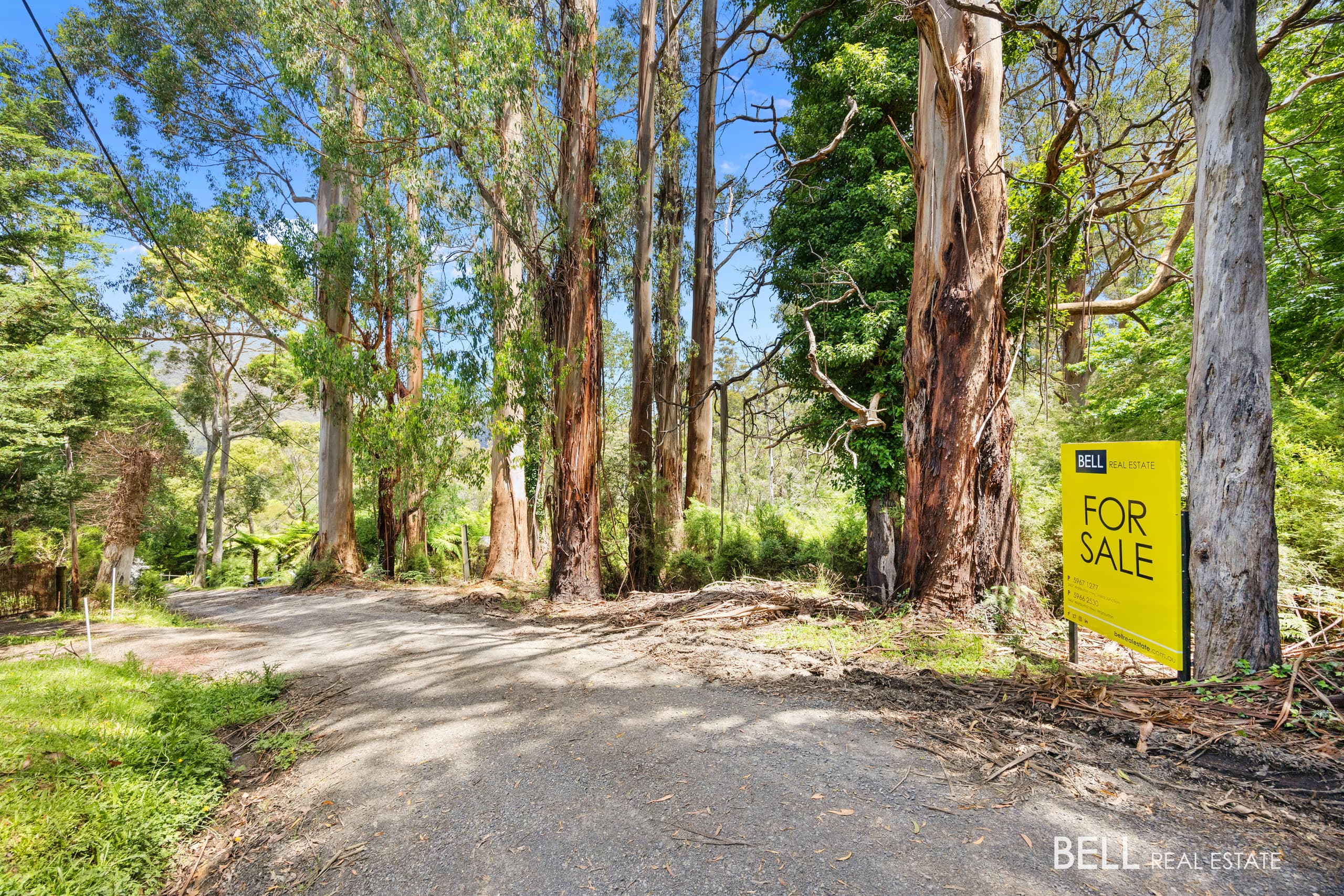 1 Essex Street, WARBURTON, Warburton - Thumbnail 4