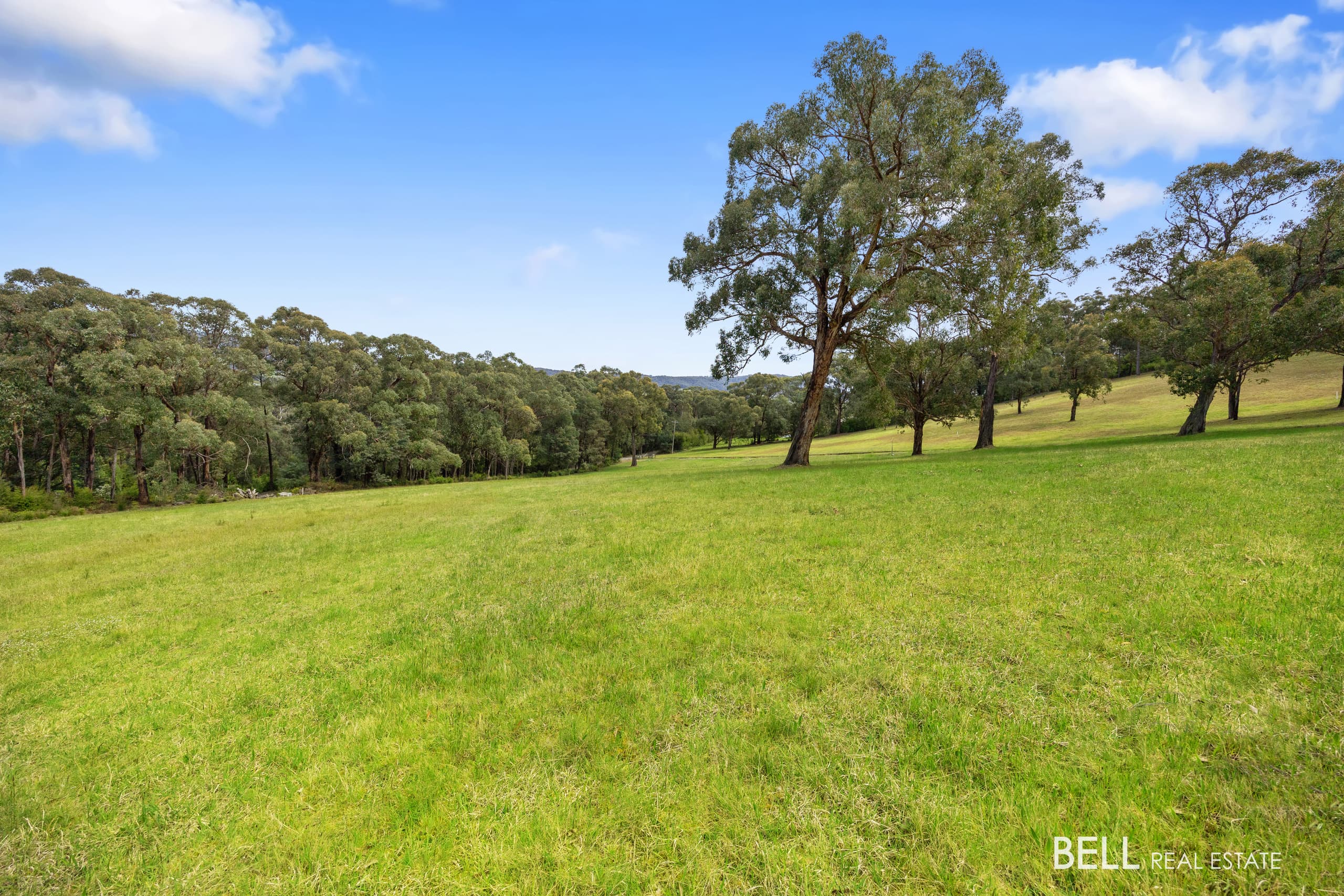 35 Ellis  Track, GLADYSDALE, Gladysdale - Thumbnail 3