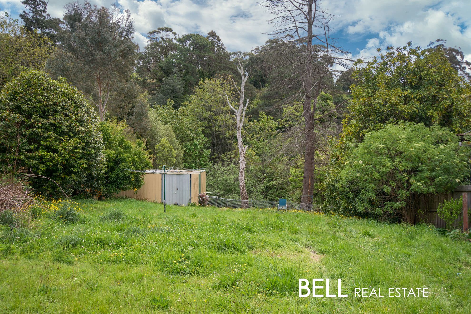 257 Olinda-Monbulk Road, MONBULK, Monbulk - Thumbnail 6