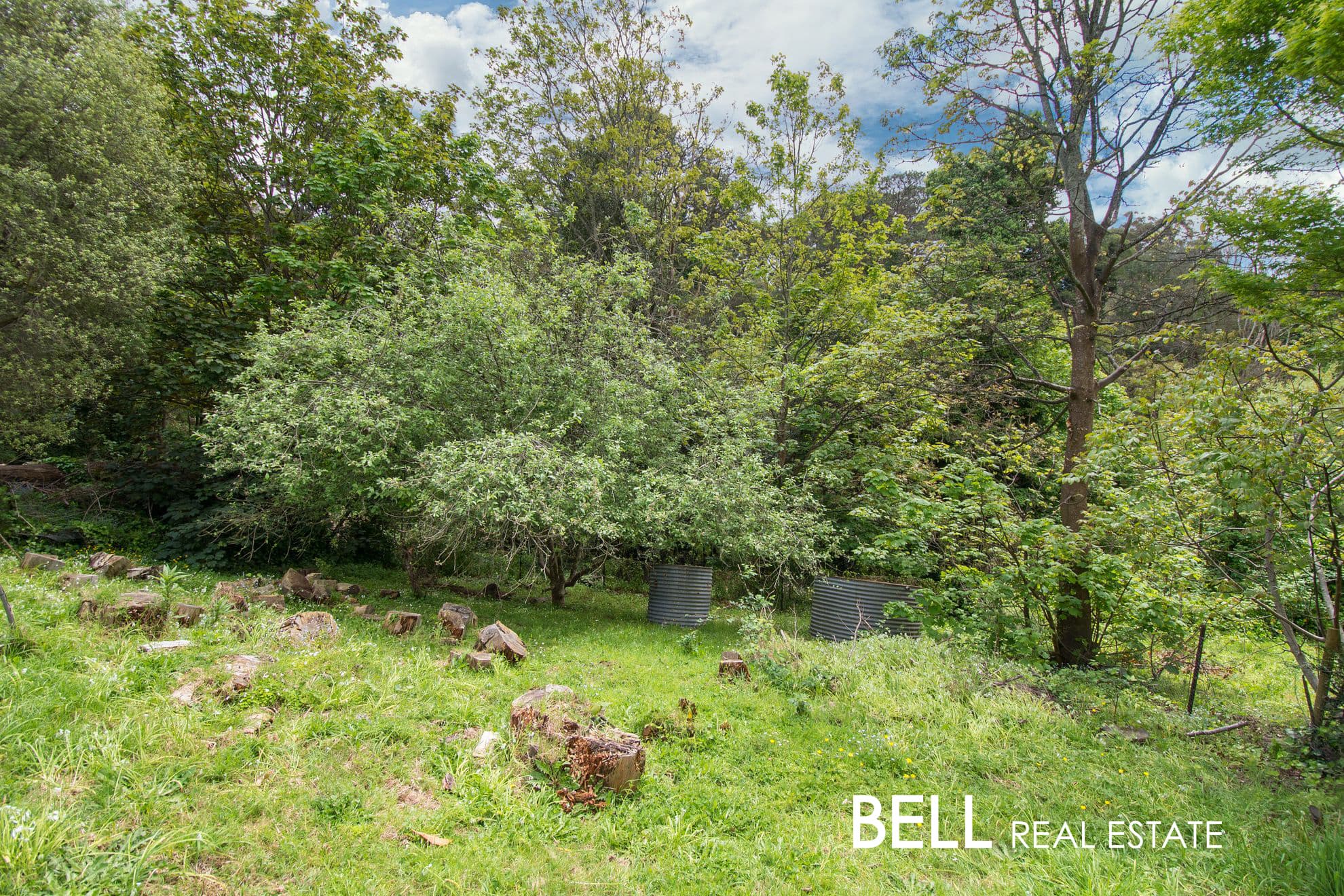 257 Olinda-Monbulk Road, MONBULK, Monbulk - Thumbnail 5