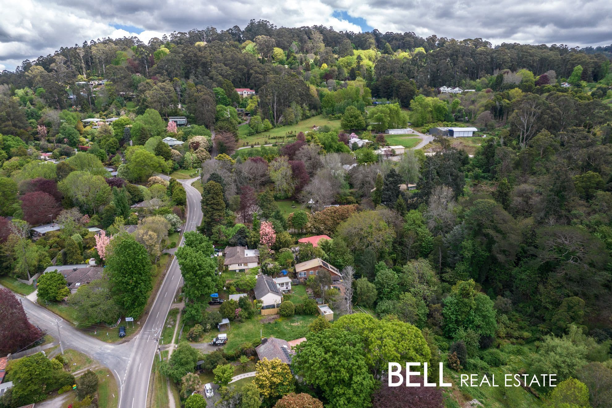 257 Olinda-Monbulk Road, MONBULK, Monbulk - Thumbnail 7