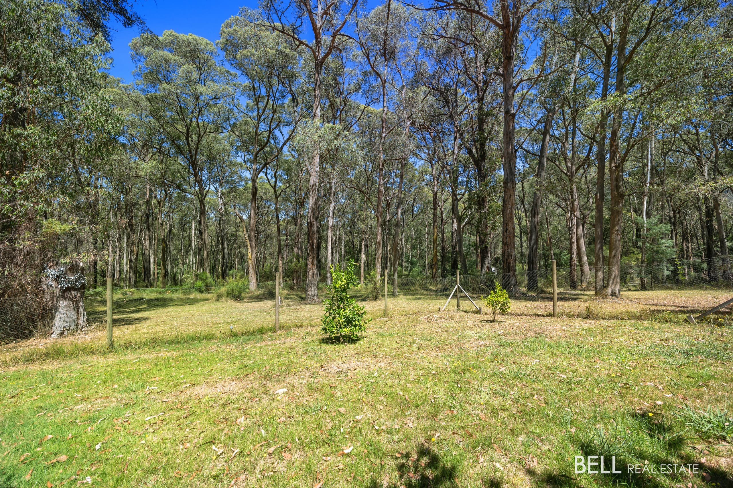 17 Nello Drive, REEFTON, Reefton - Thumbnail 6
