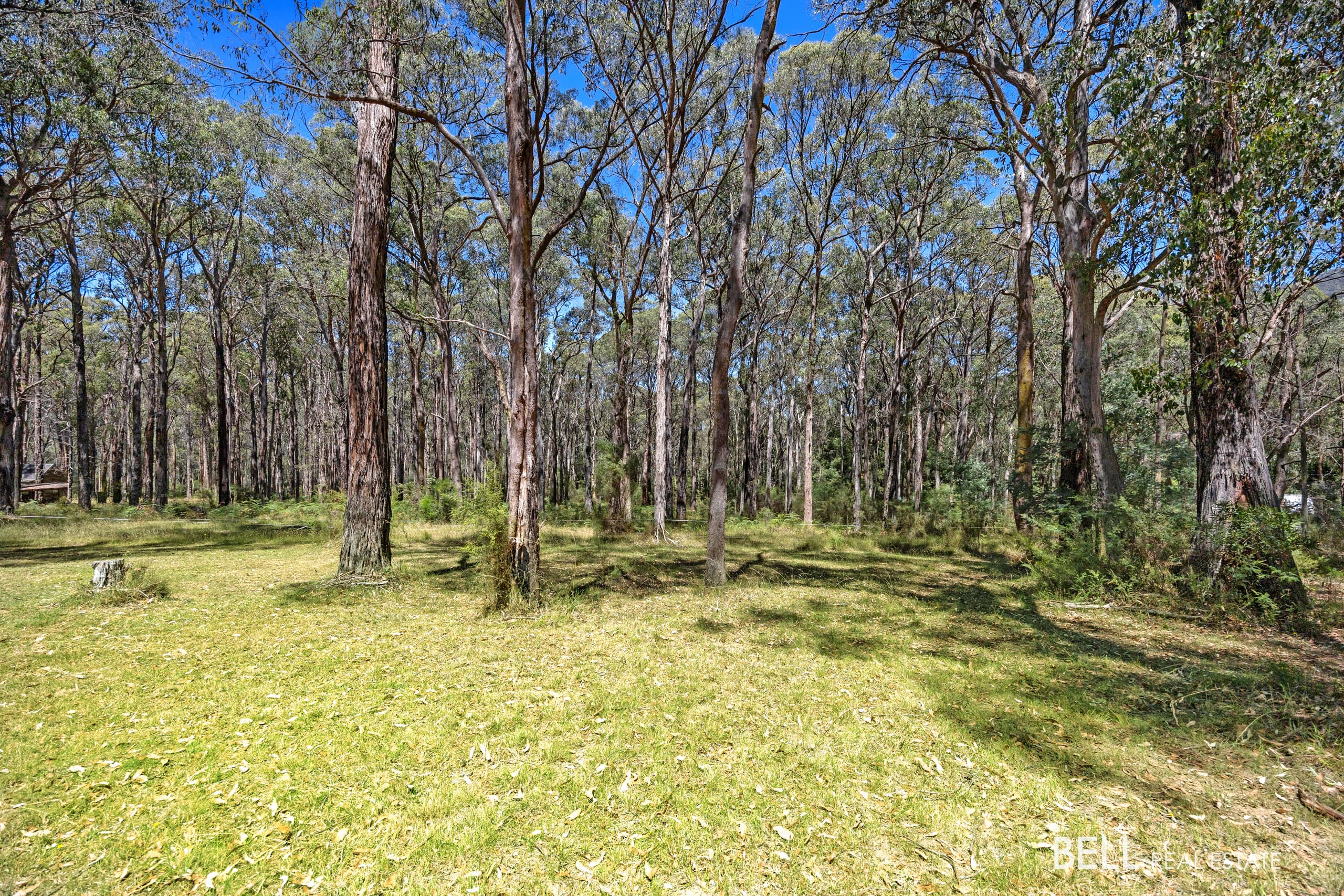 17 Nello Drive, REEFTON, Reefton - Thumbnail 7