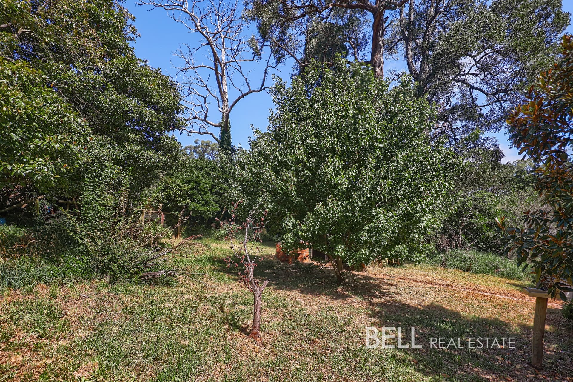 19 Clematis Park Road, EMERALD, Emerald - Thumbnail 8