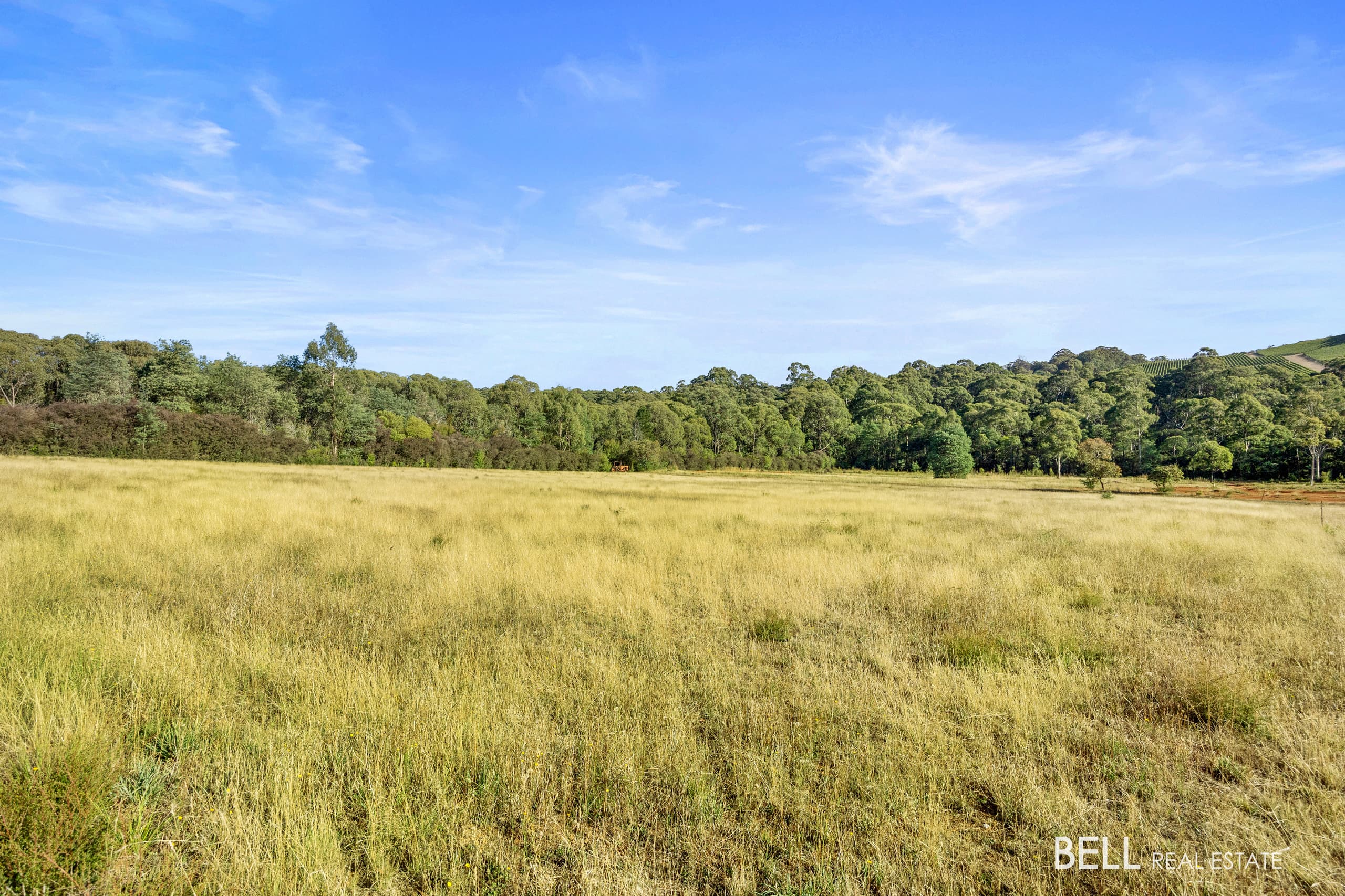 1555 Gembrook-Launching Place Road, BEENAK, Beenak - Thumbnail 4
