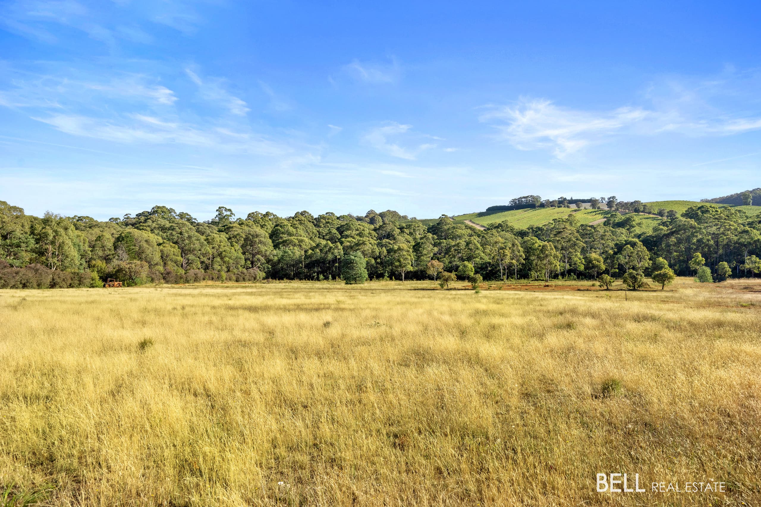 1555 Gembrook-Launching Place Road, BEENAK, Beenak - Thumbnail 5