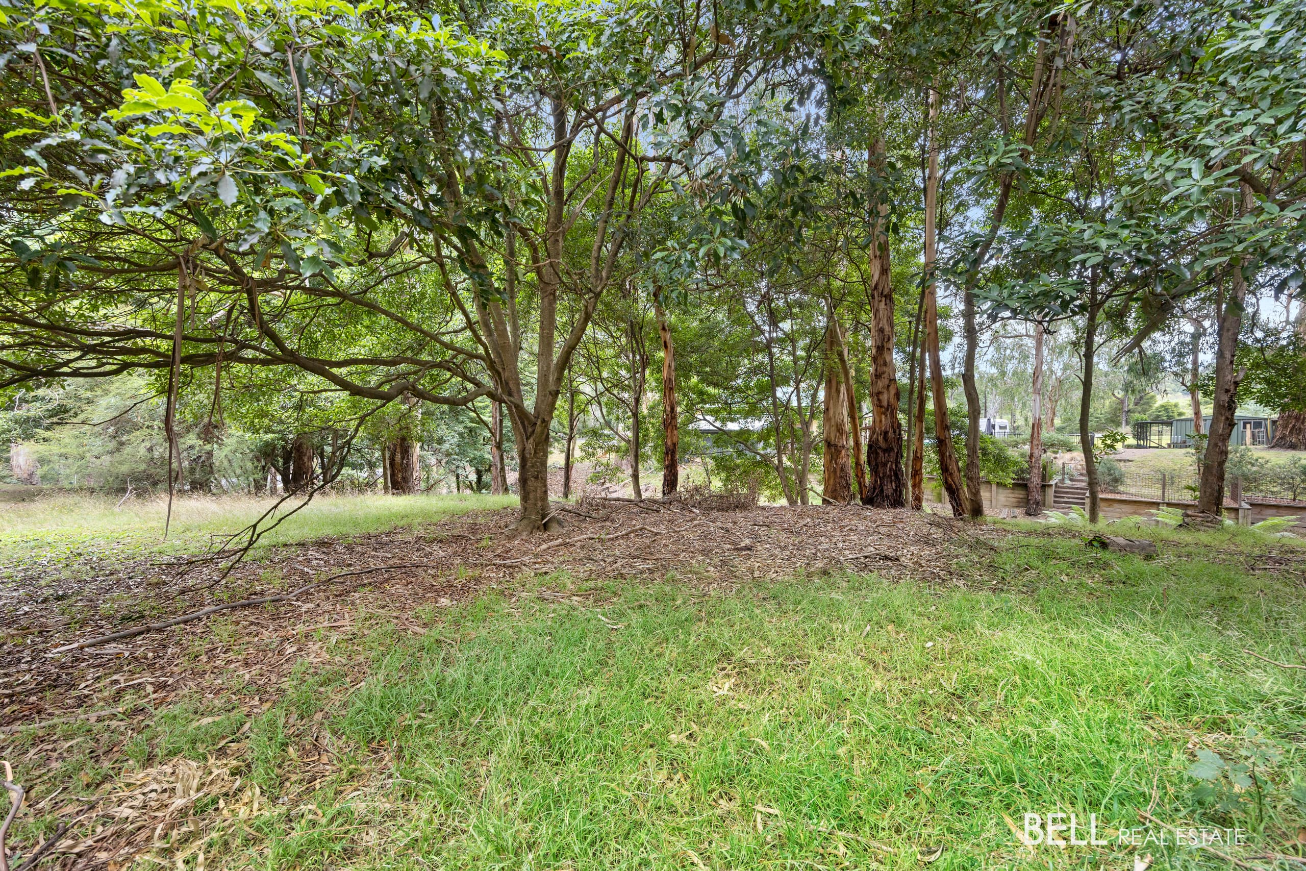3 River Road, MILLGROVE, Millgrove - Thumbnail 6