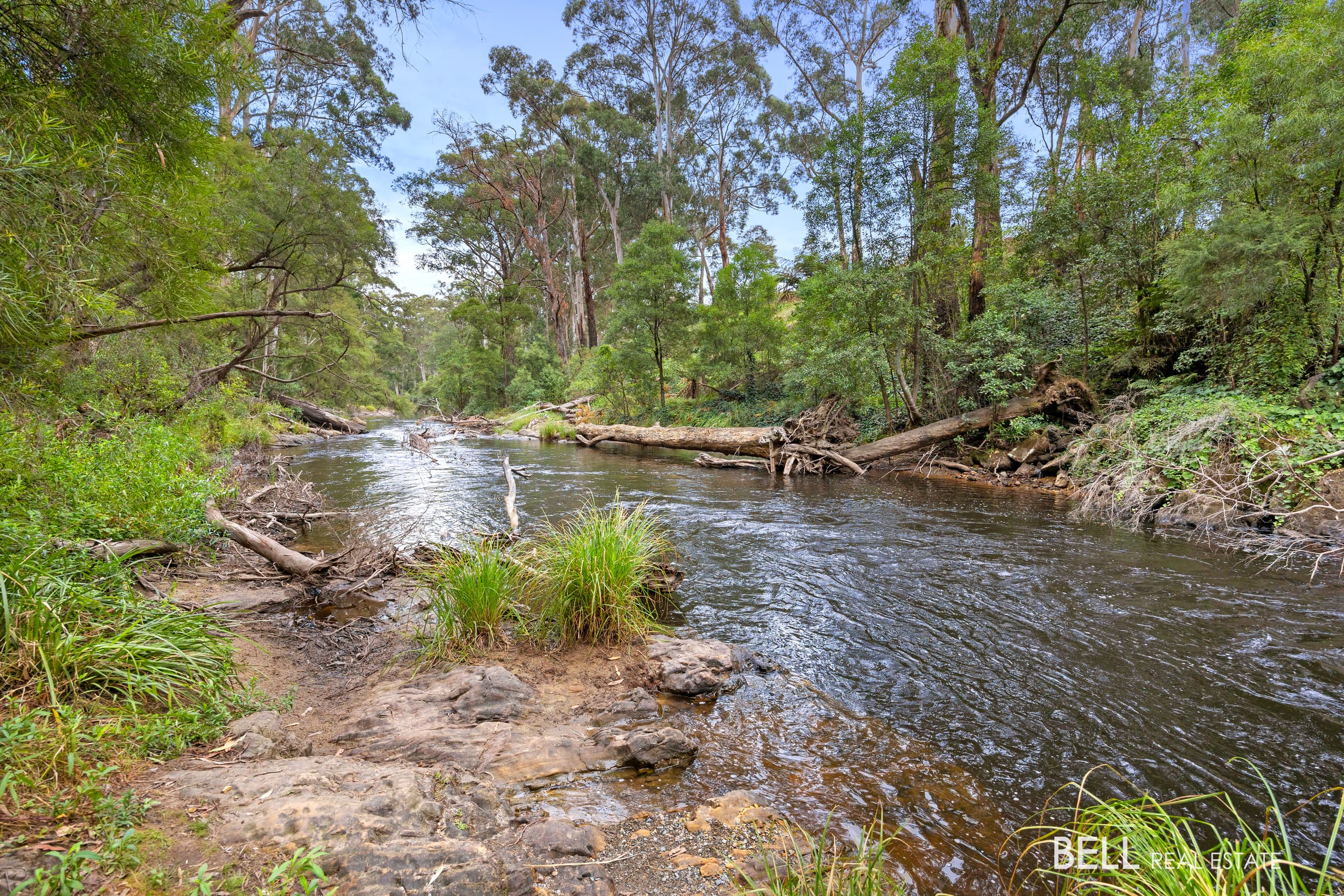 3 River Road, MILLGROVE, Millgrove - Thumbnail 8