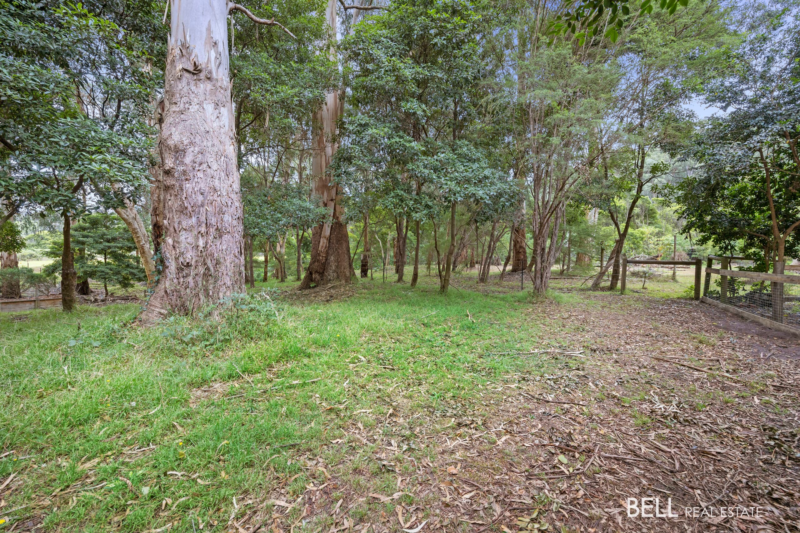 3 River Road, MILLGROVE, Millgrove - Thumbnail 3