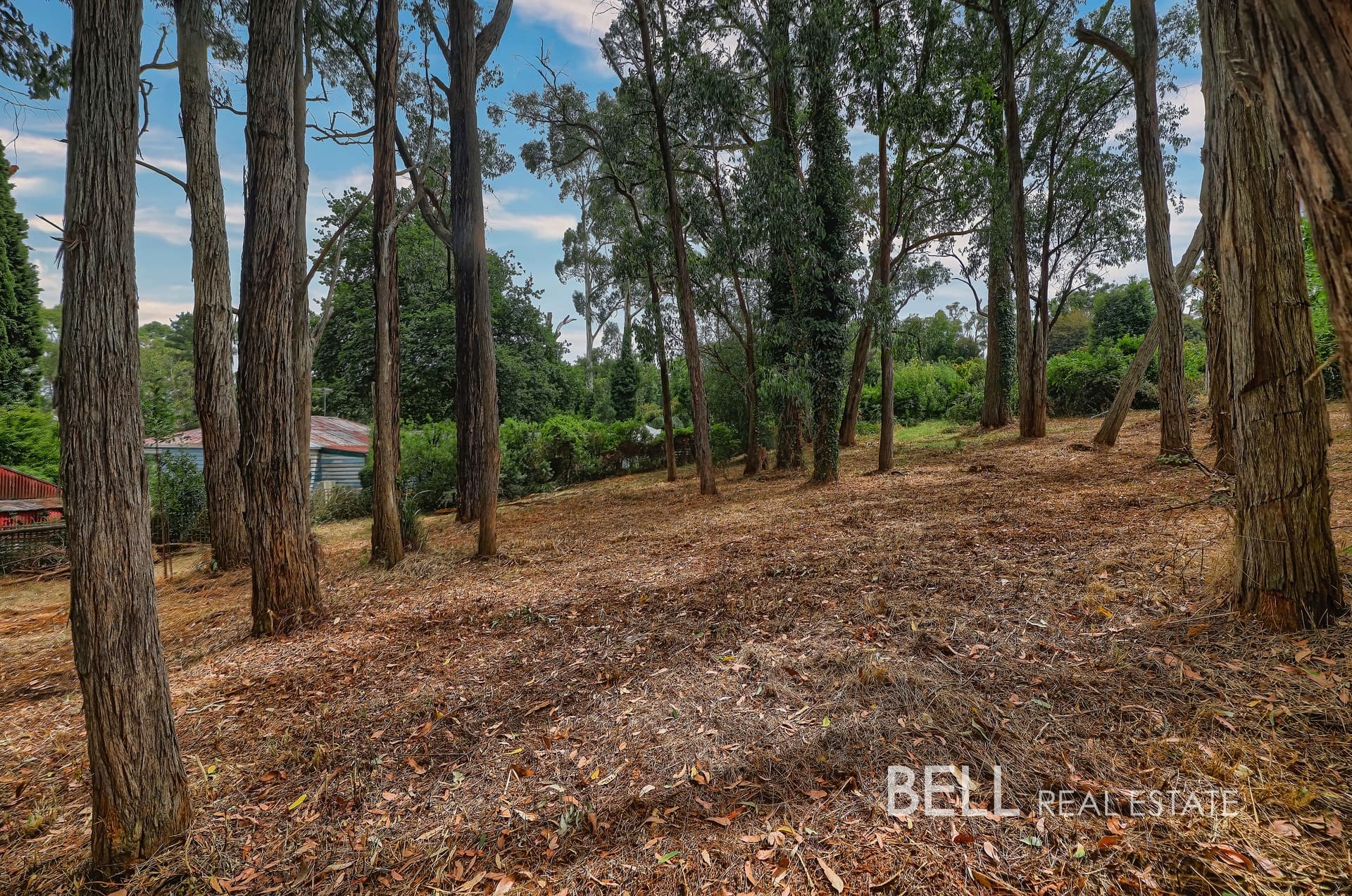 5 Mcnamara Road, AVONSLEIGH, Avonsleigh - Thumbnail 5