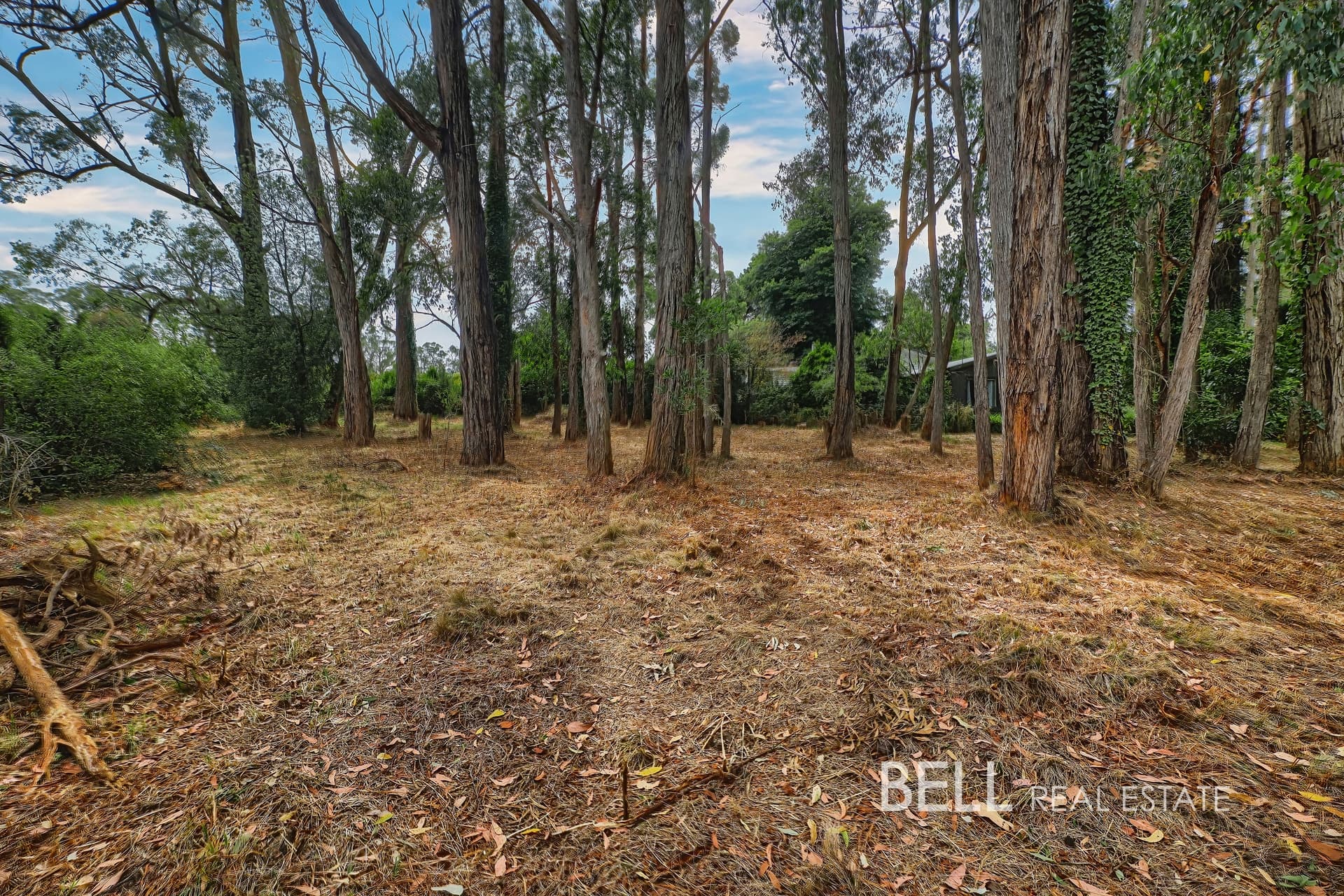 5 Mcnamara Road, AVONSLEIGH, Avonsleigh - Thumbnail 3