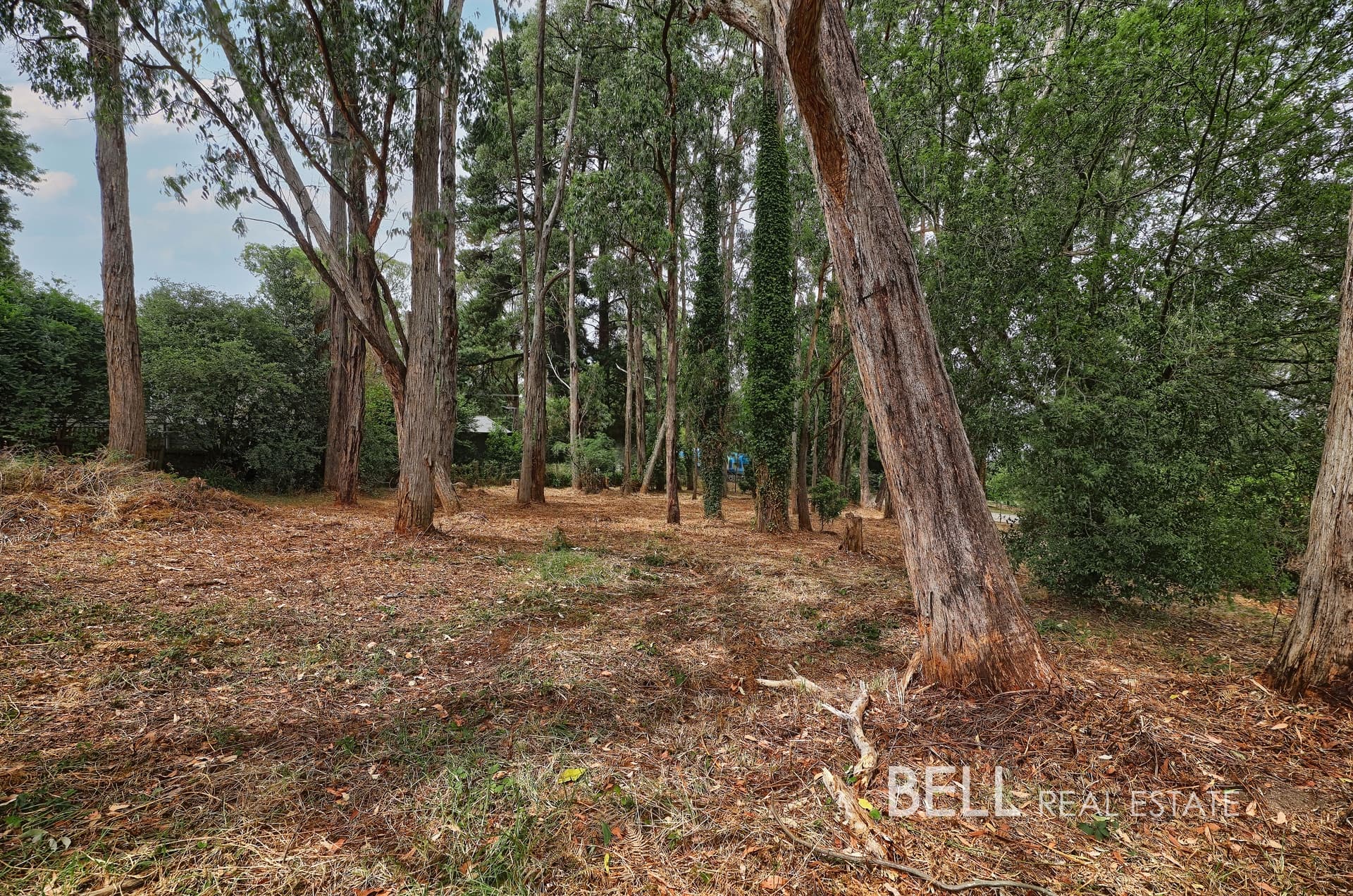 5 Mcnamara Road, AVONSLEIGH, Avonsleigh - Thumbnail 4