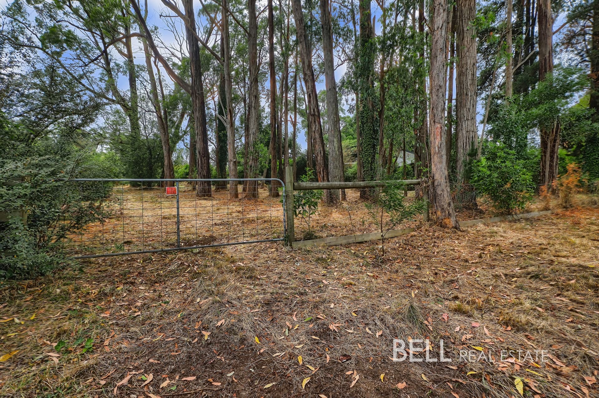 5 Mcnamara Road, AVONSLEIGH, Avonsleigh - Image 1