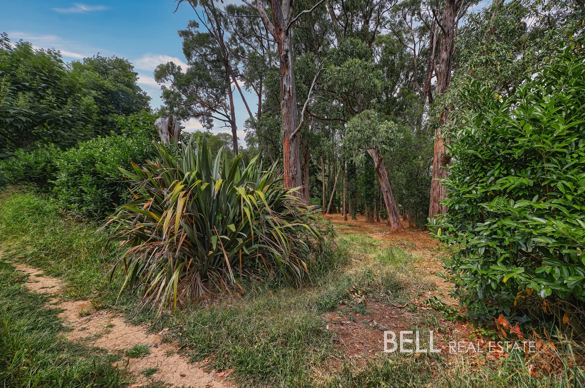 5 Mcnamara Road, AVONSLEIGH, Avonsleigh - Thumbnail 6