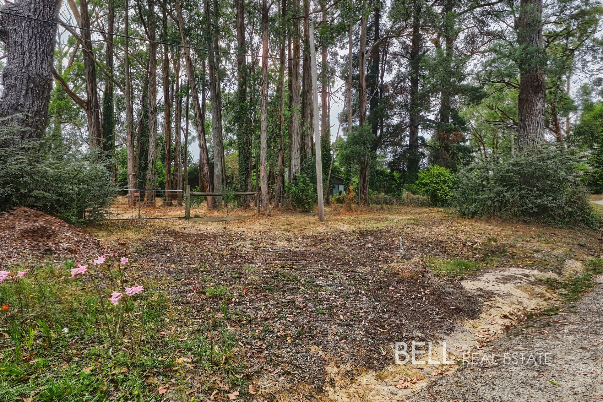 5 Mcnamara Road, AVONSLEIGH, Avonsleigh - Thumbnail 2