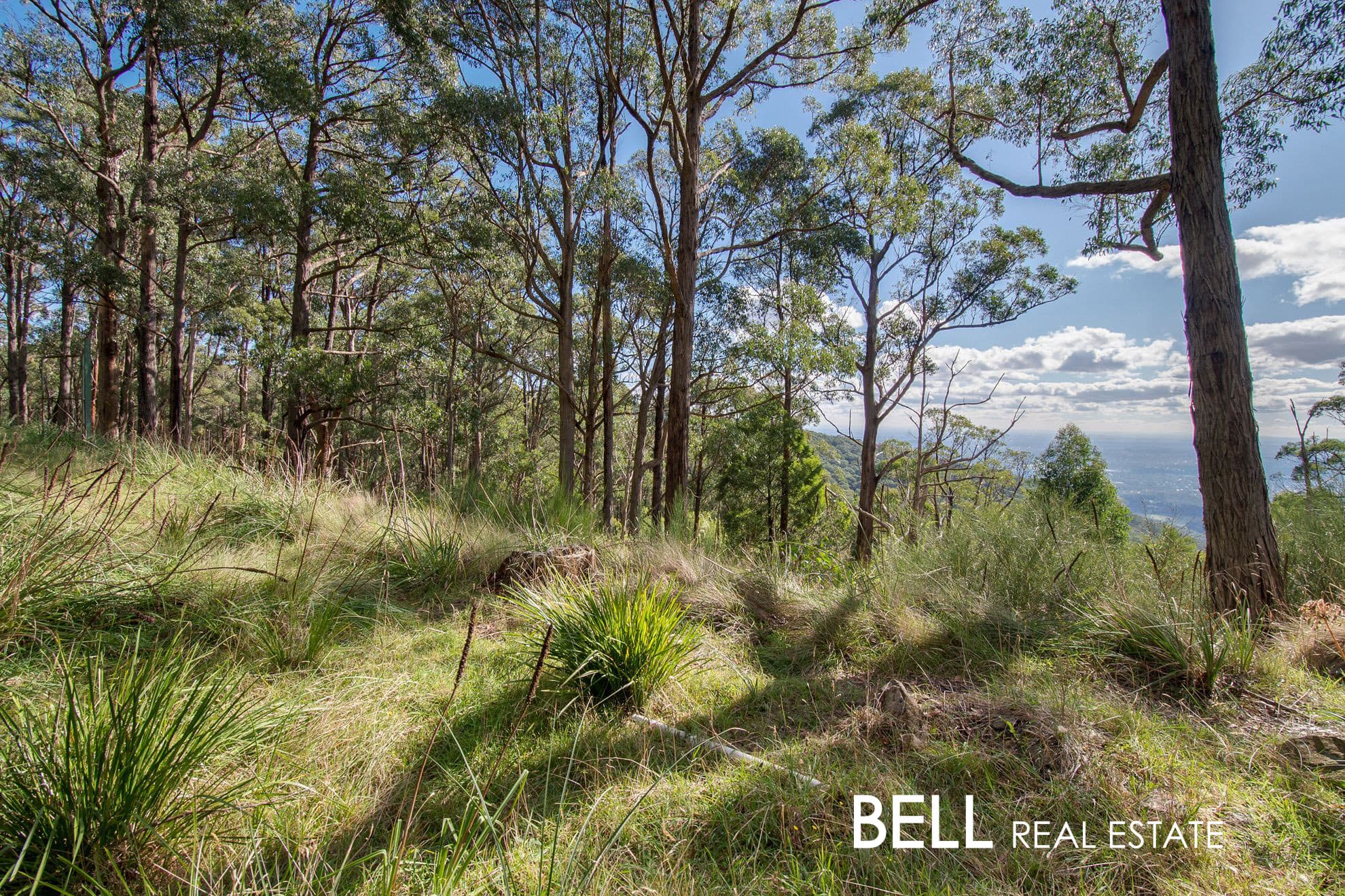 1 Highview Road, FERNY CREEK, Ferny Creek - Thumbnail 3