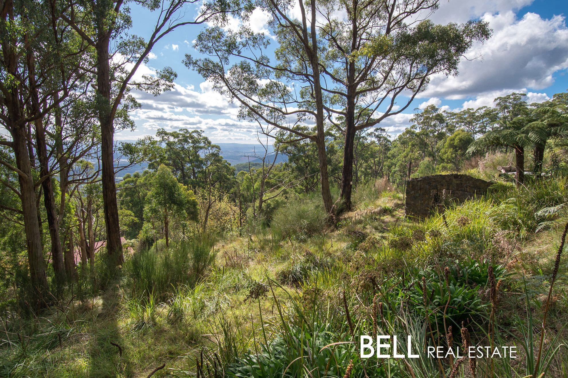1 Highview Road, FERNY CREEK, Ferny Creek - Thumbnail 7