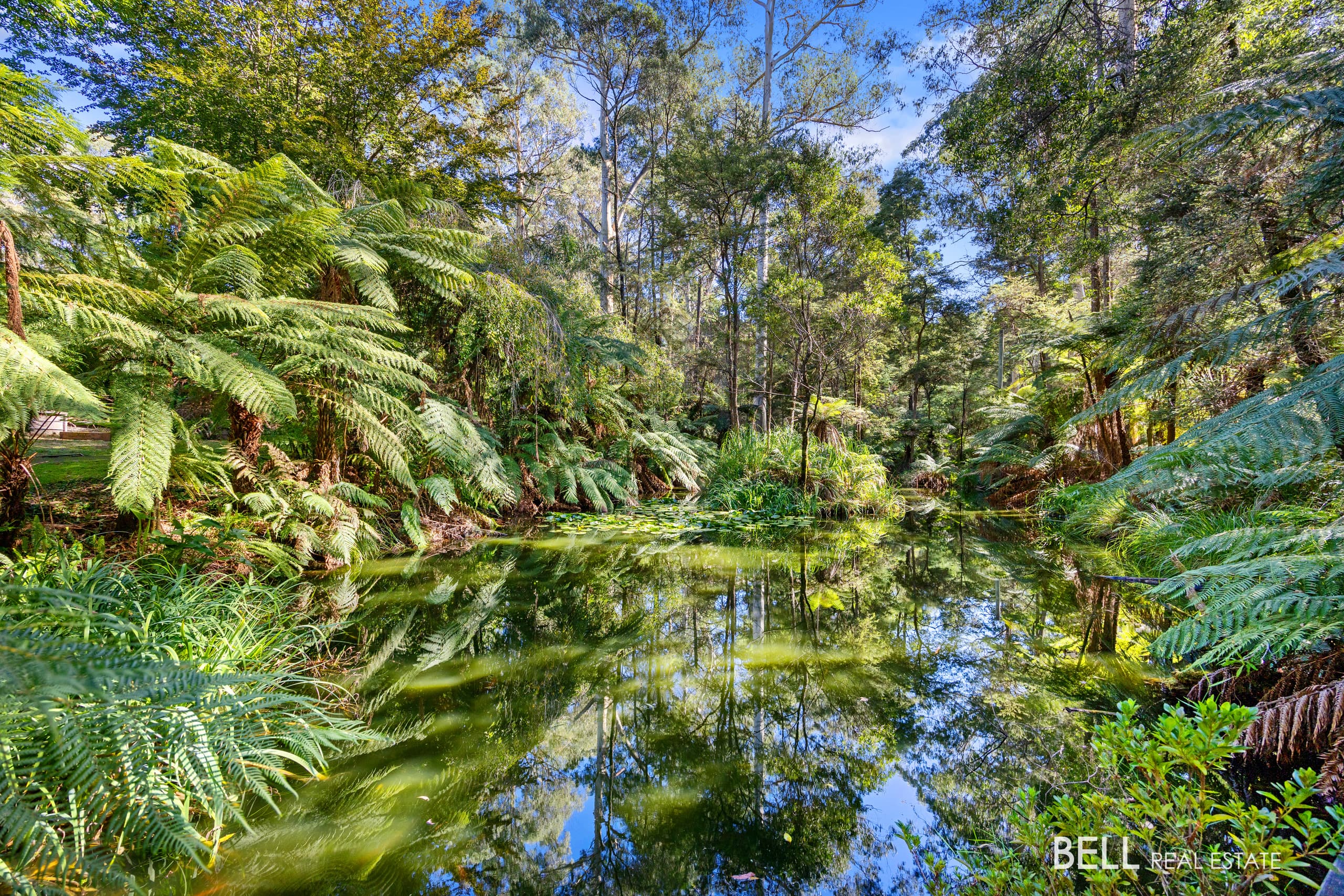 280 Big Pats Creek Road, BIG PATS CREEK, Big Pats Creek - Thumbnail 3