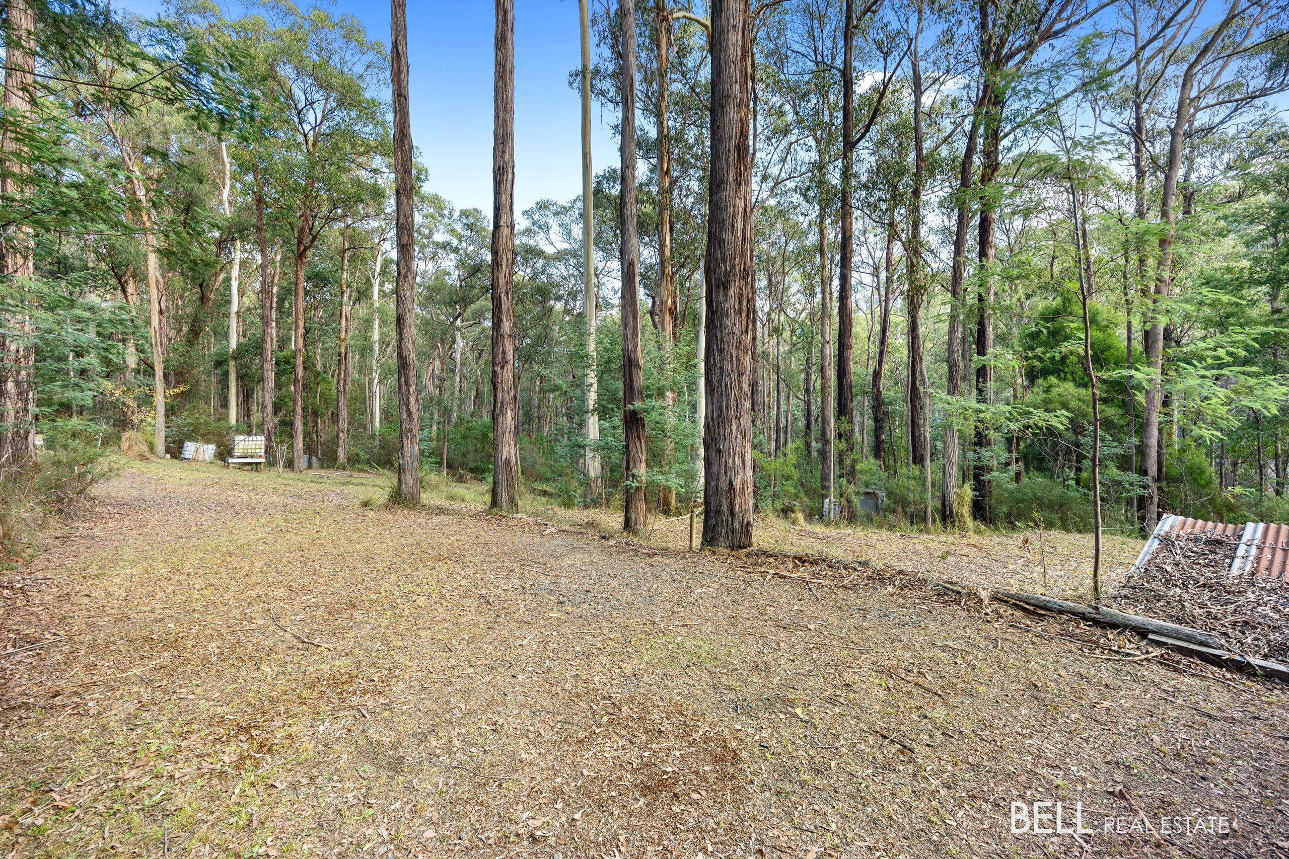 43  Fisherman Drive, REEFTON, Reefton - Thumbnail 2