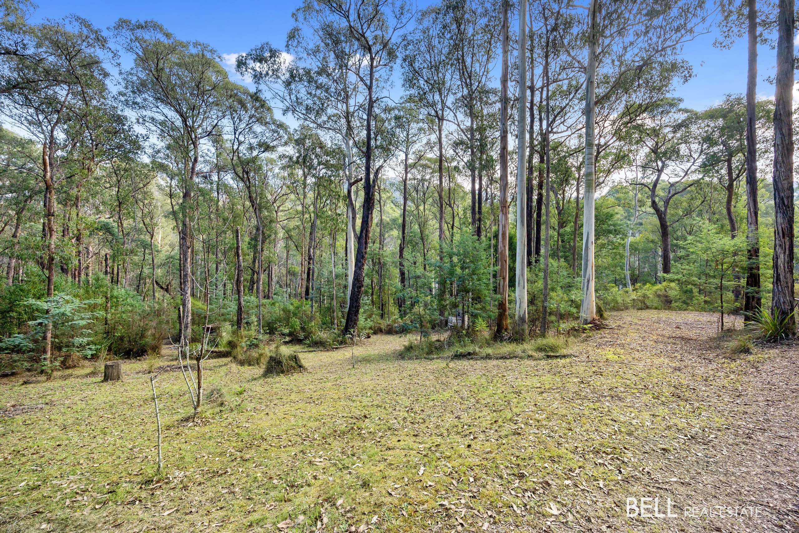 43  Fisherman Drive, REEFTON, Reefton - Image 1