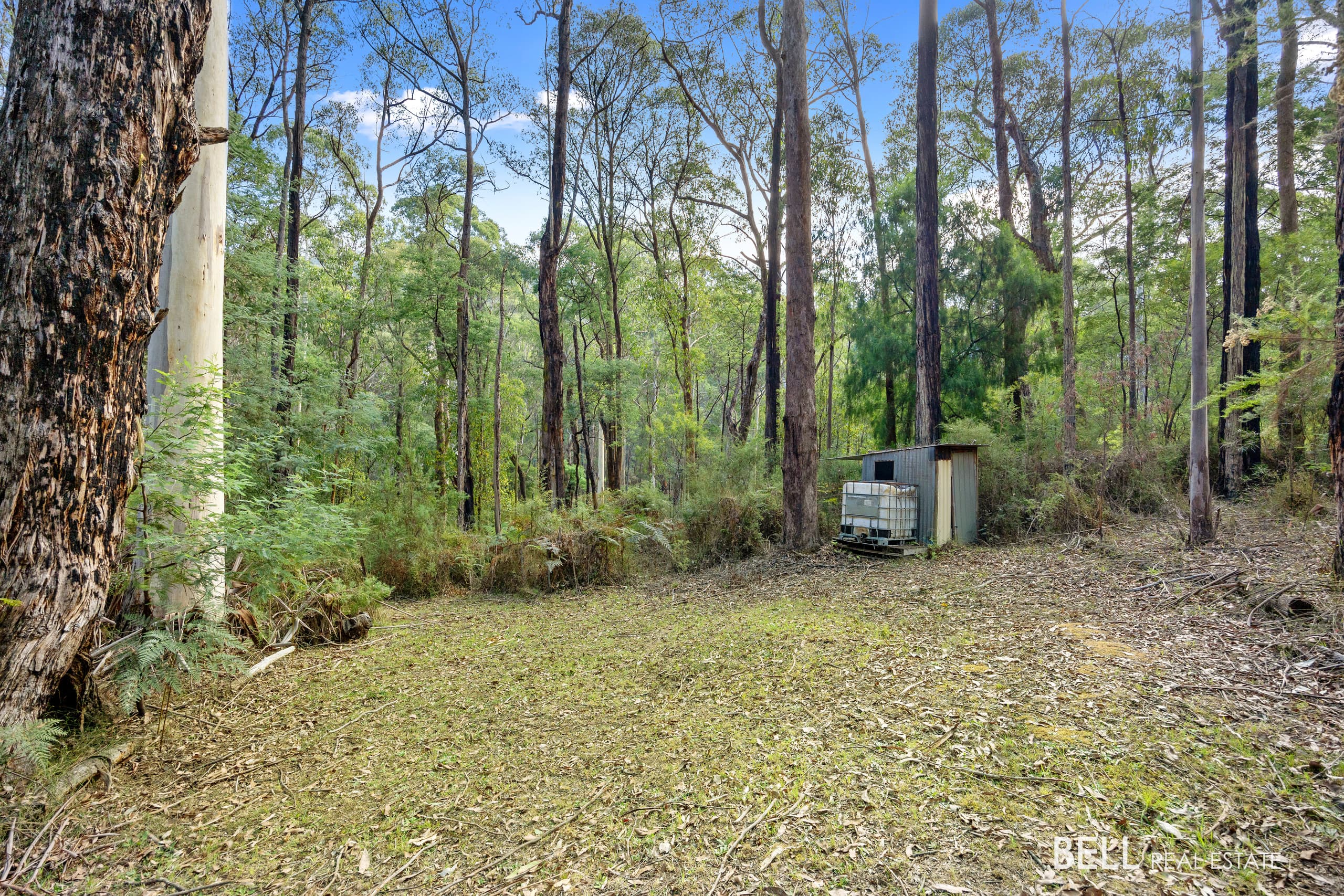 43  Fisherman Drive, REEFTON, Reefton - Thumbnail 5