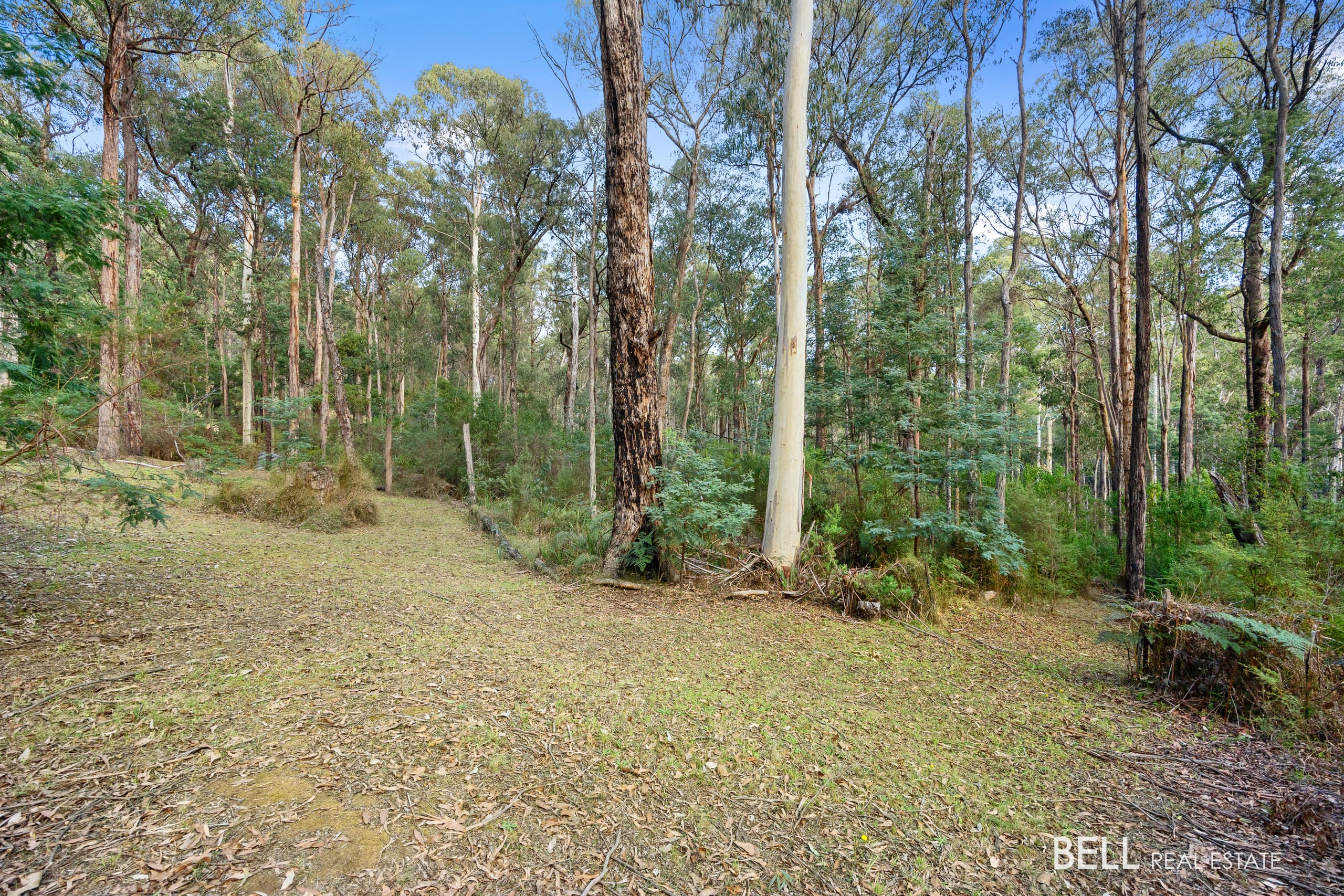 43  Fisherman Drive, REEFTON, Reefton - Thumbnail 6
