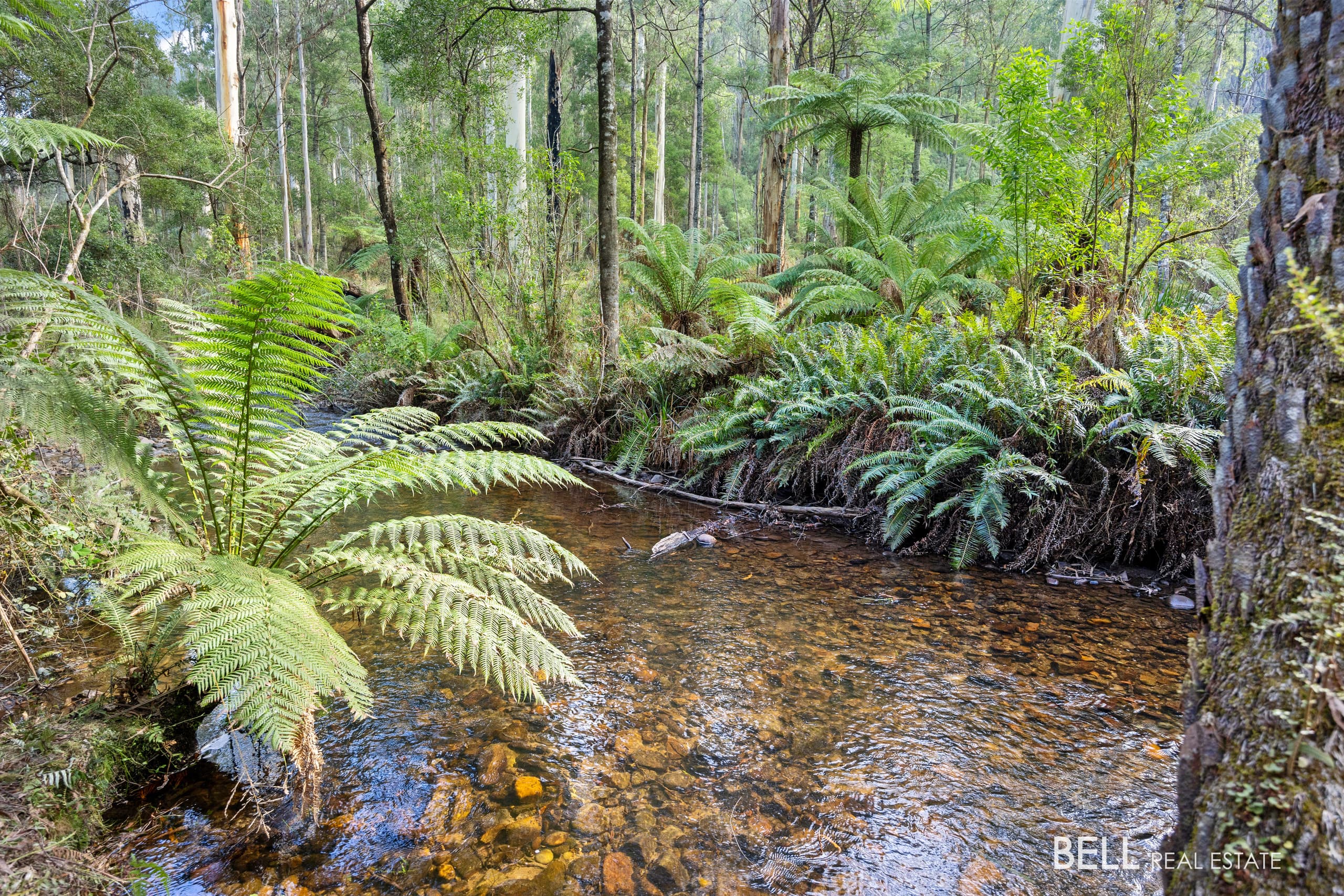 43  Fisherman Drive, REEFTON, Reefton - Thumbnail 4