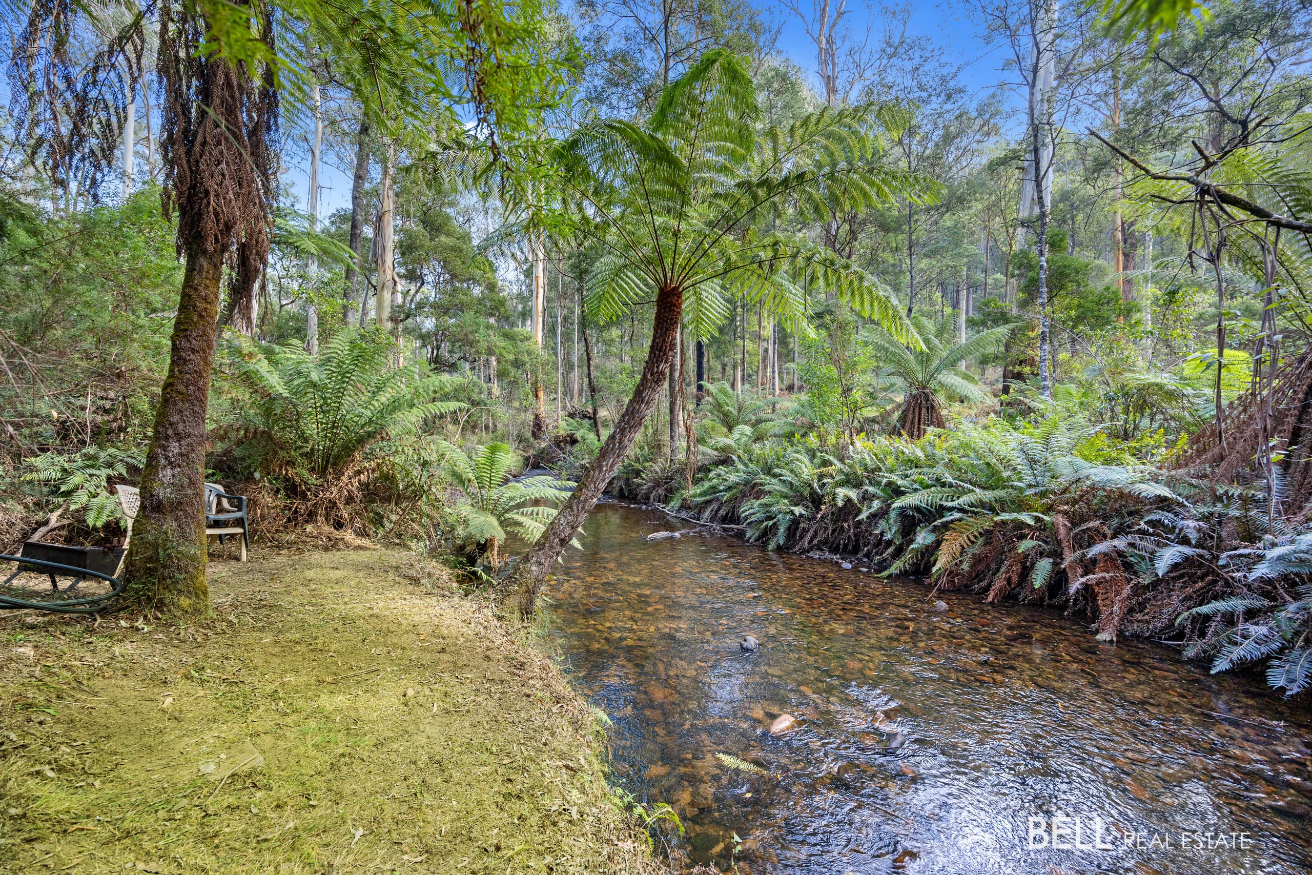 43  Fisherman Drive, REEFTON, Reefton - Thumbnail 7