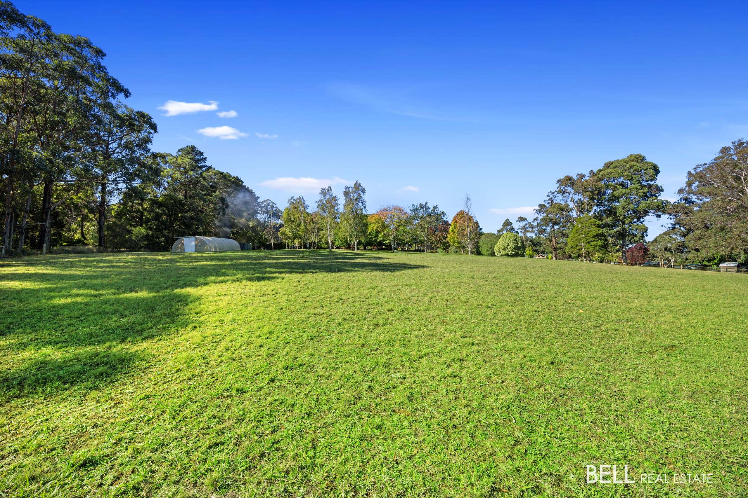 40 Falls Road, HODDLES CREEK, Hoddles Creek - Thumbnail 6