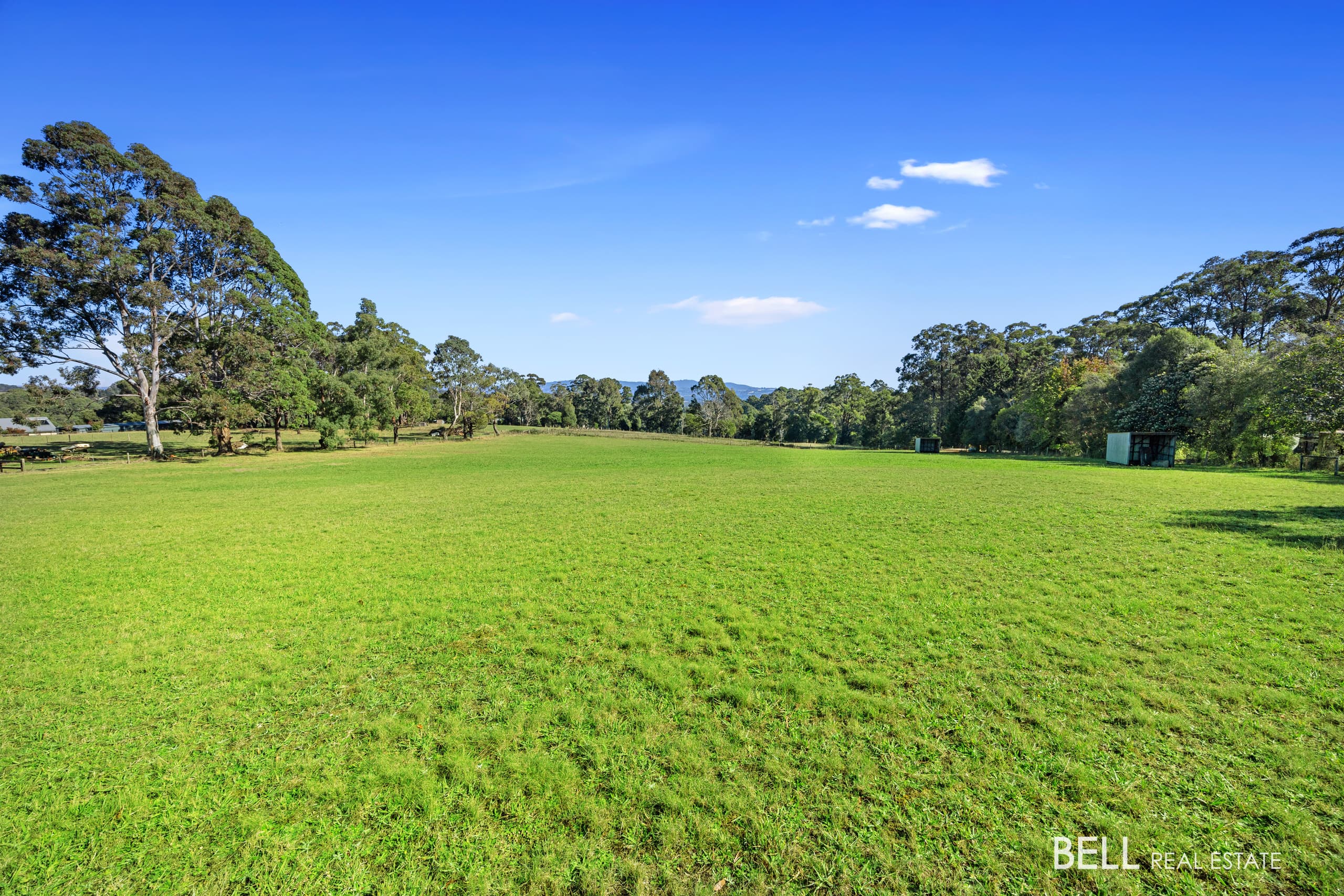 40 Falls Road, HODDLES CREEK, Hoddles Creek - Thumbnail 3