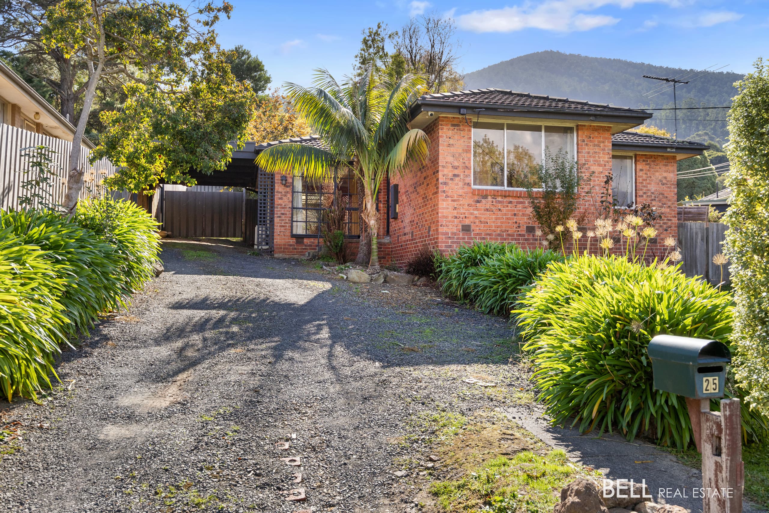 25 Patrick Street, MILLGROVE, Millgrove - Image 1
