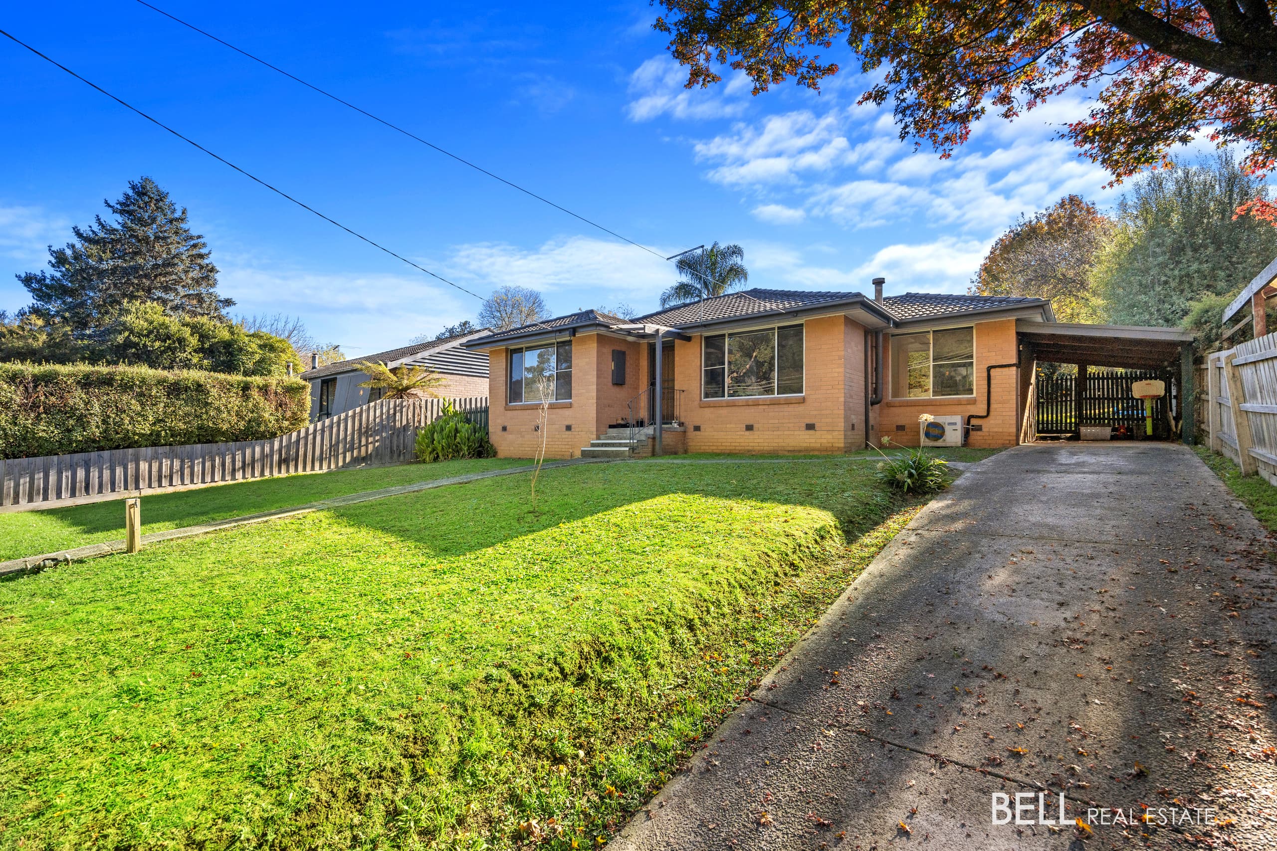29 Carroll Avenue, MILLGROVE, Millgrove - Thumbnail 3