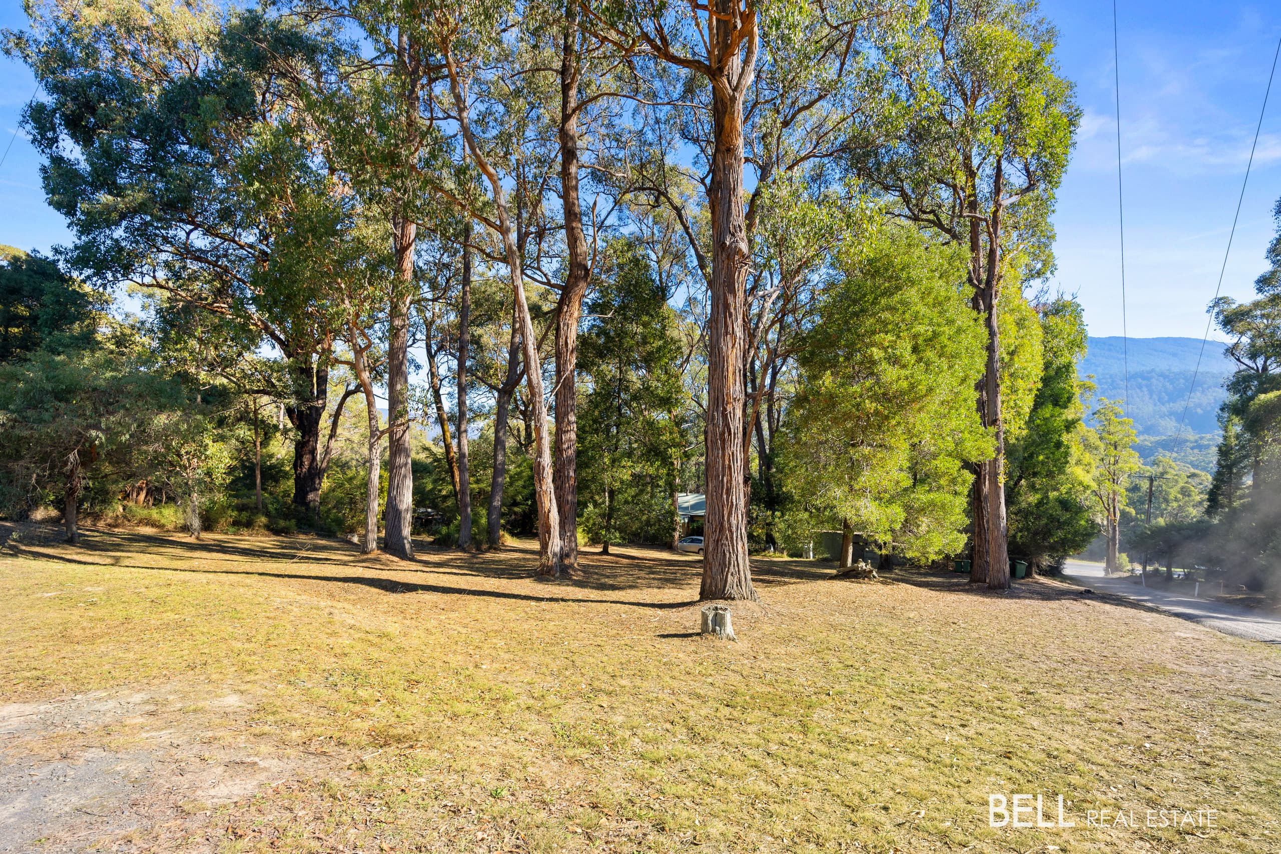 14 Tamarillo Circuit, Narangba, QLD, 4504, Narangba - Image 1