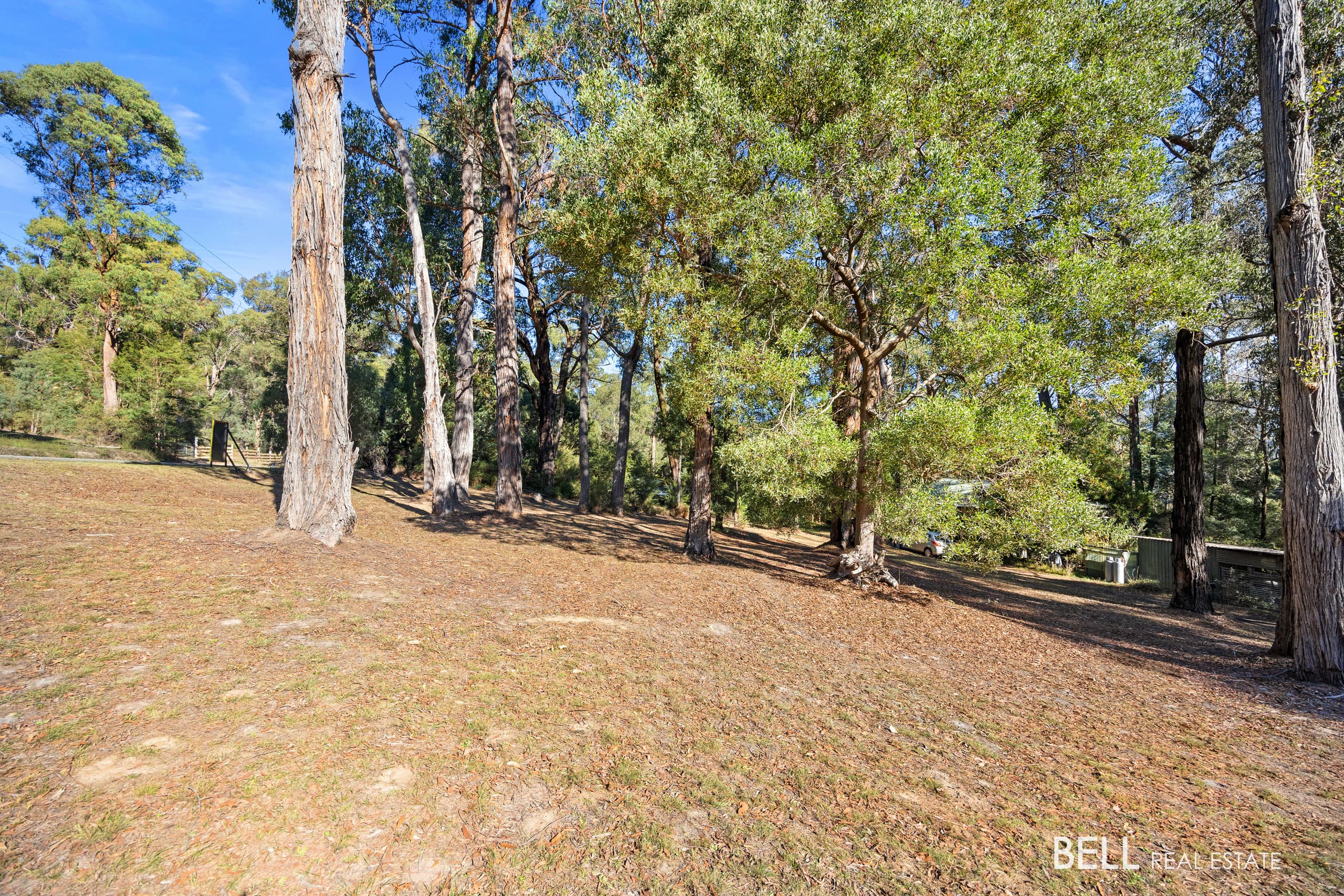 14 Tamarillo Circuit, Narangba, QLD, 4504, Narangba - Thumbnail 5