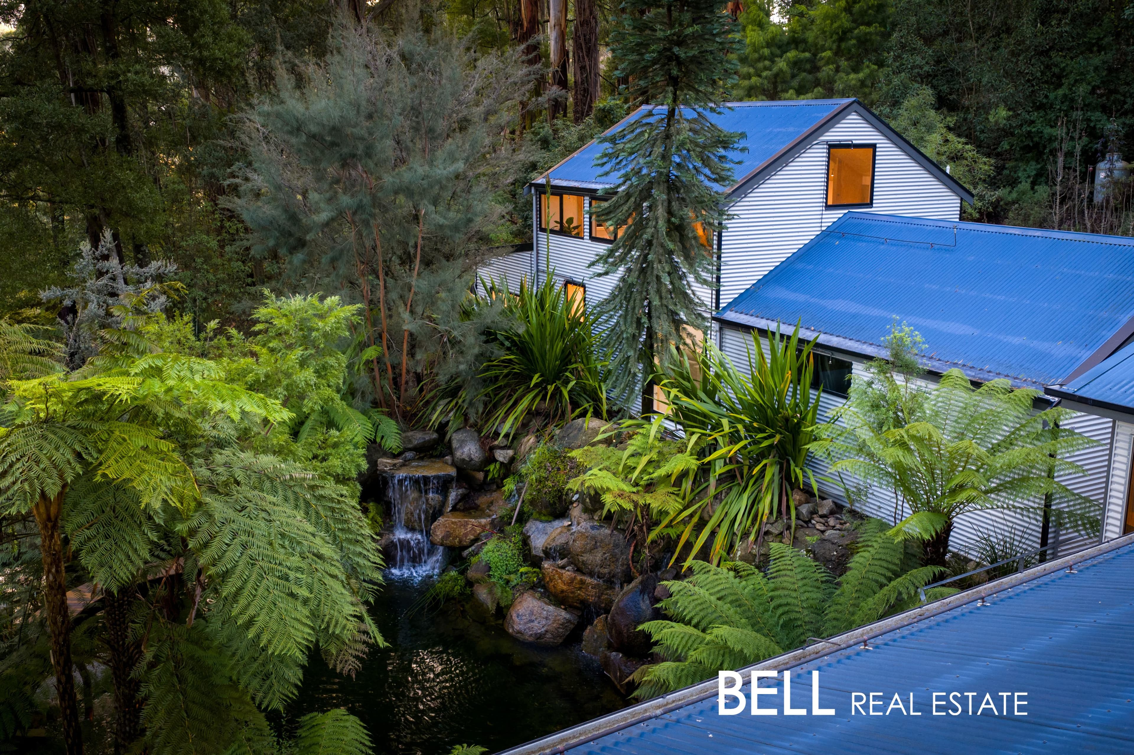 1 Holden Road, OLINDA, Olinda - Thumbnail 5