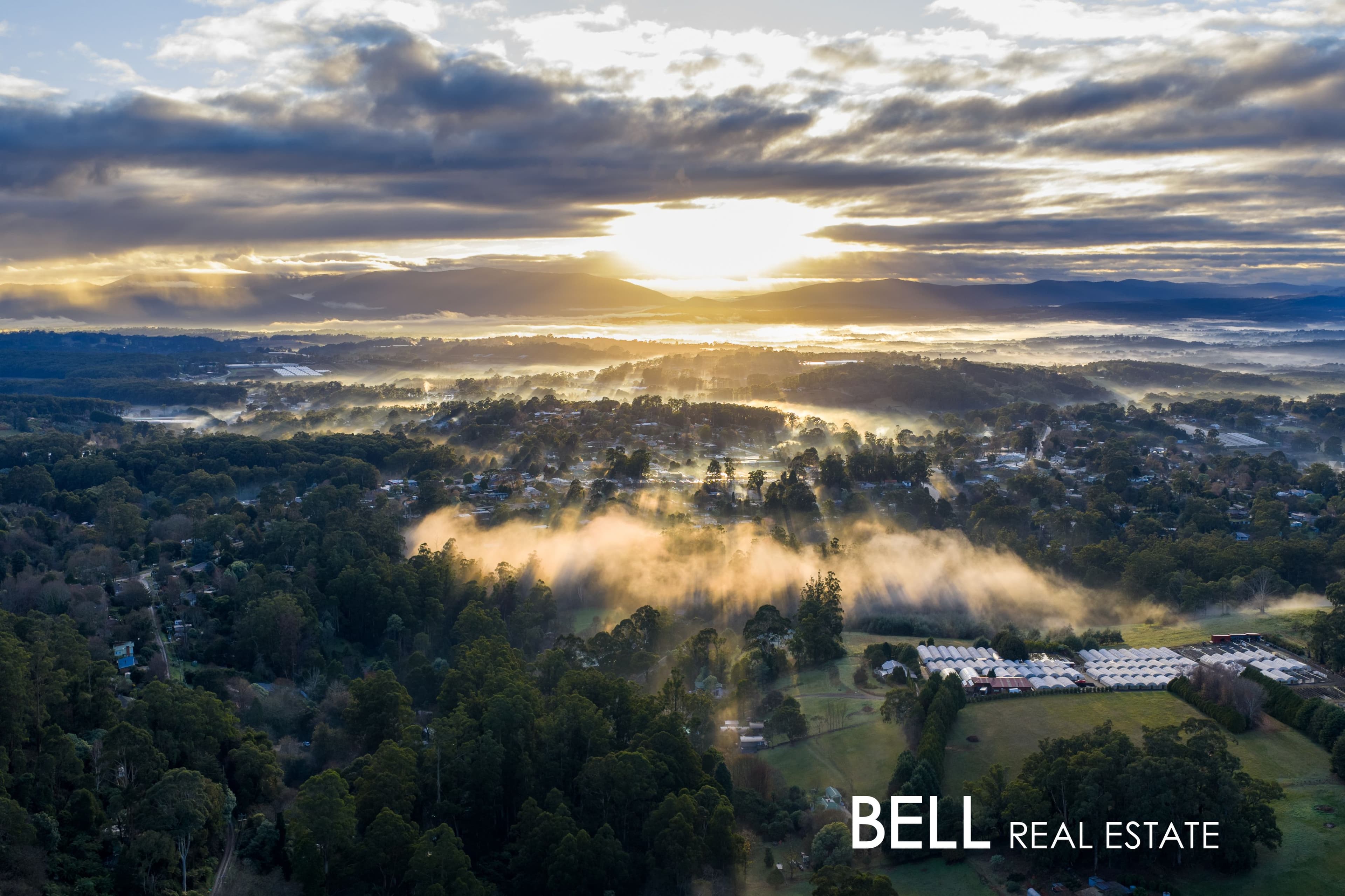 1 Holden Road, OLINDA, Olinda - Thumbnail 6
