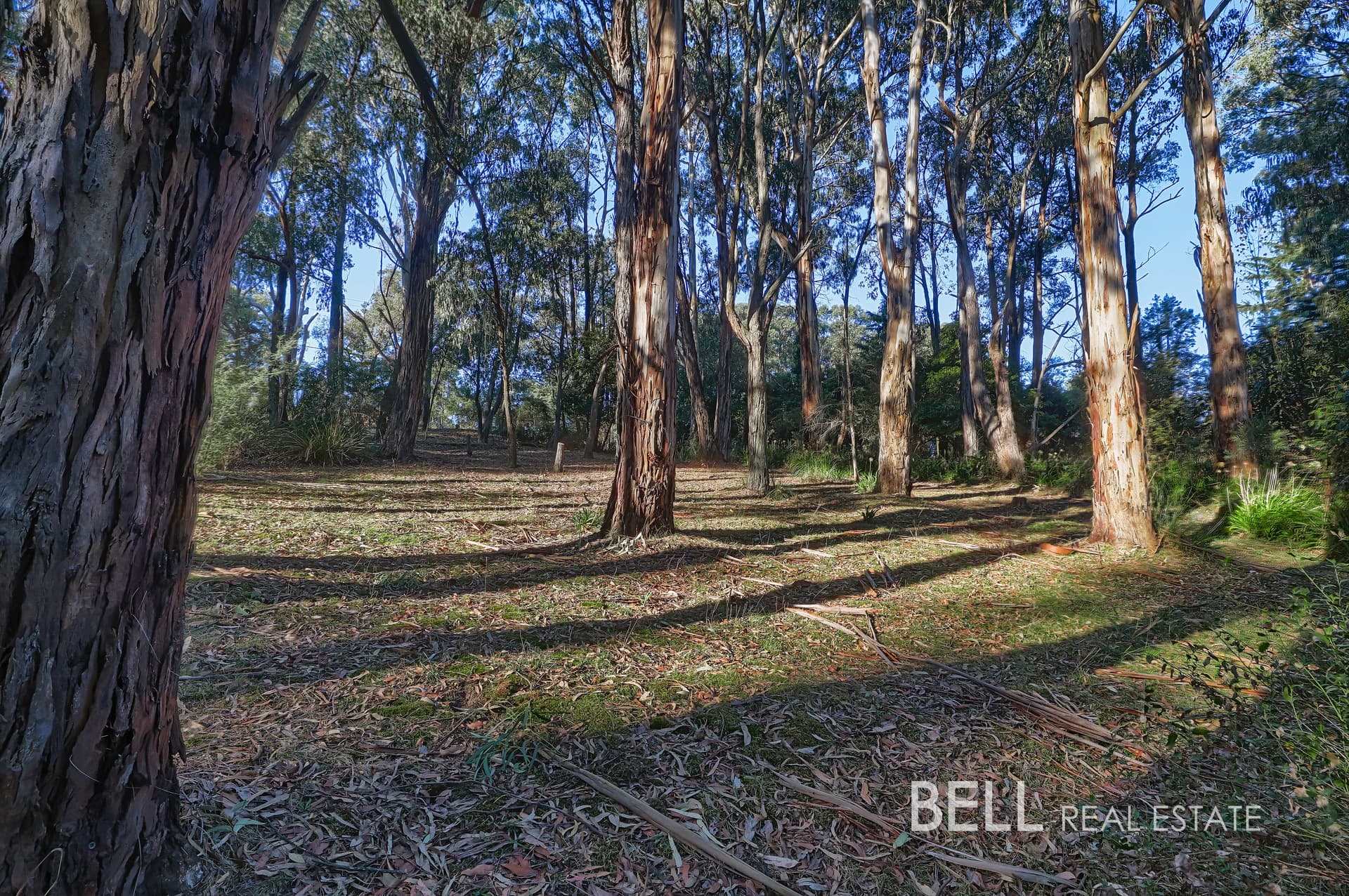 62 Kilvington Drive, EMERALD, Emerald - Thumbnail 6