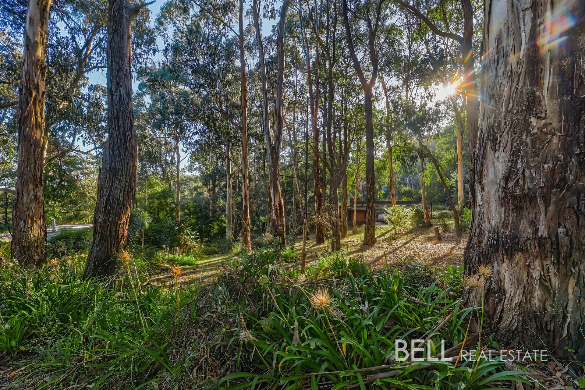 62 Kilvington Drive, EMERALD, Emerald - Image 1
