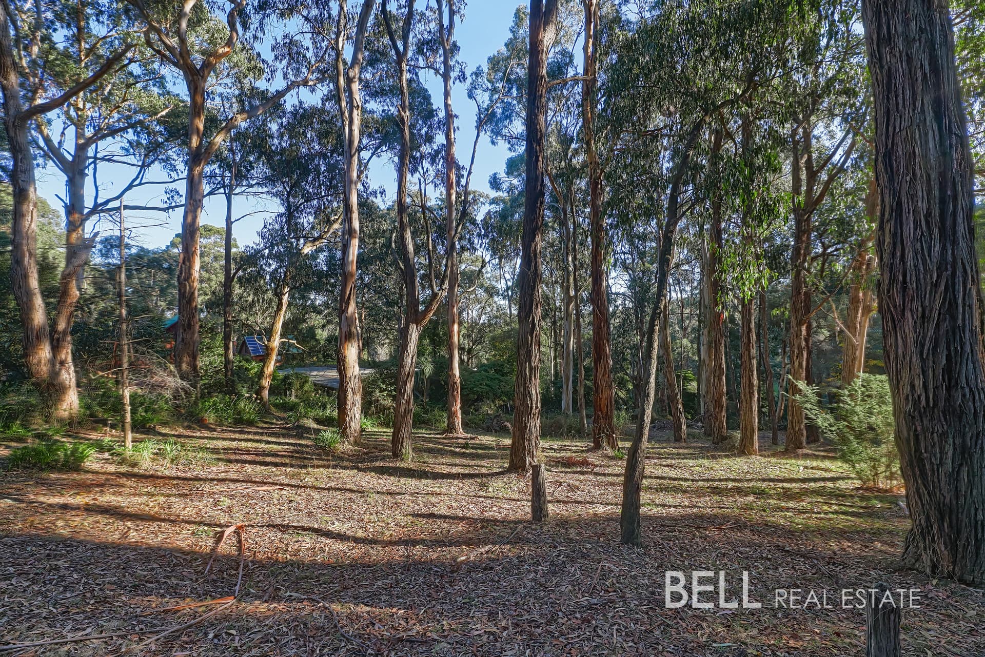 62 Kilvington Drive, EMERALD, Emerald - Thumbnail 5