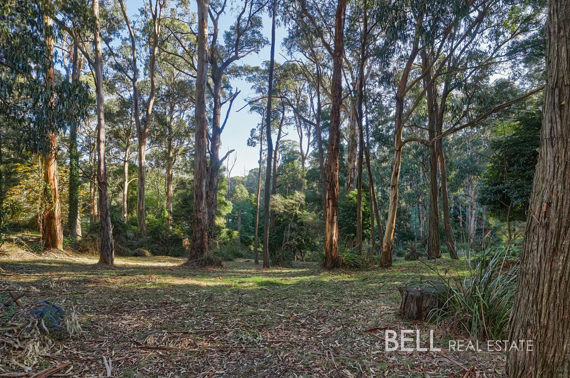 62 Kilvington Drive, EMERALD, Emerald - Thumbnail 2