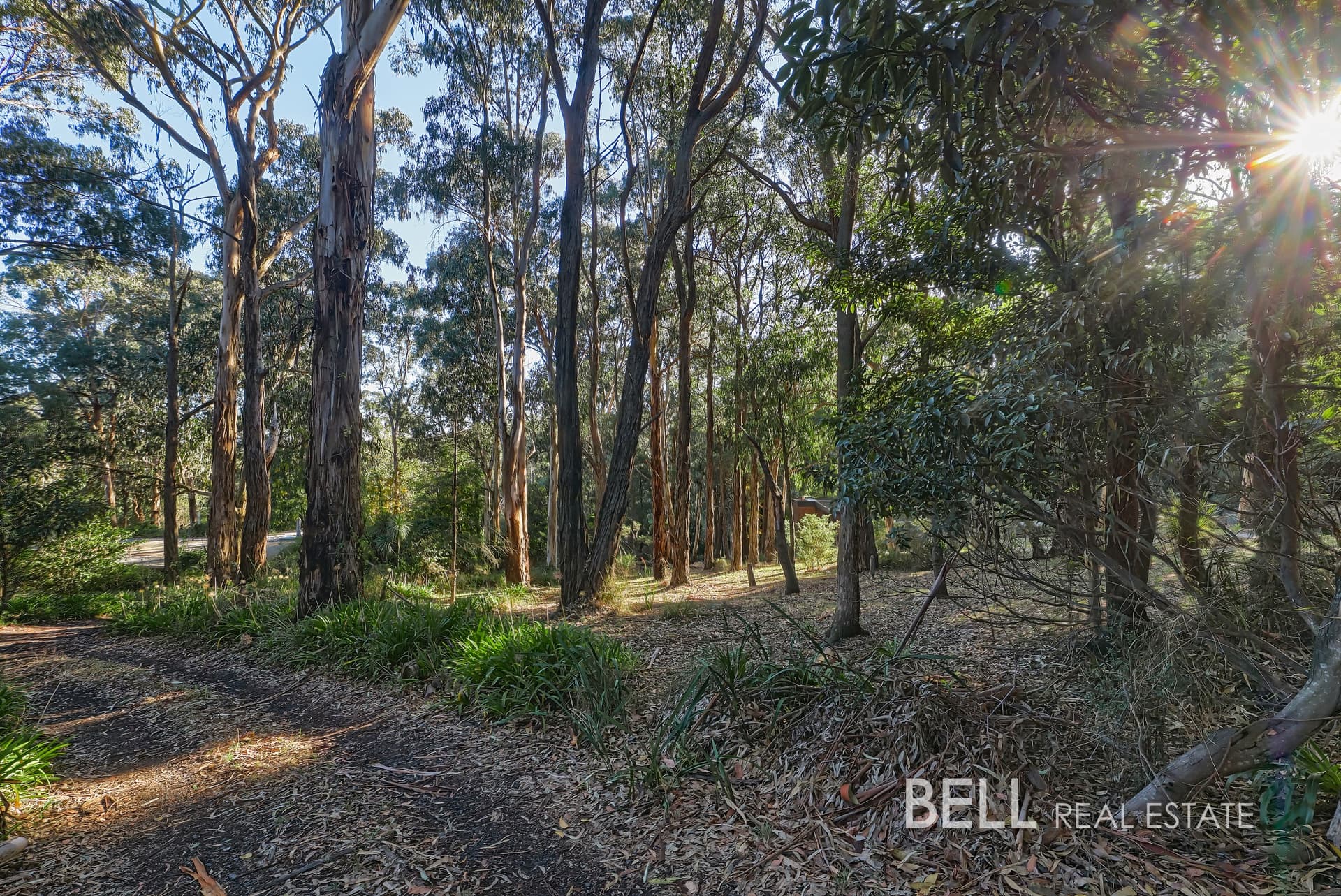 62 Kilvington Drive, EMERALD, Emerald - Thumbnail 4