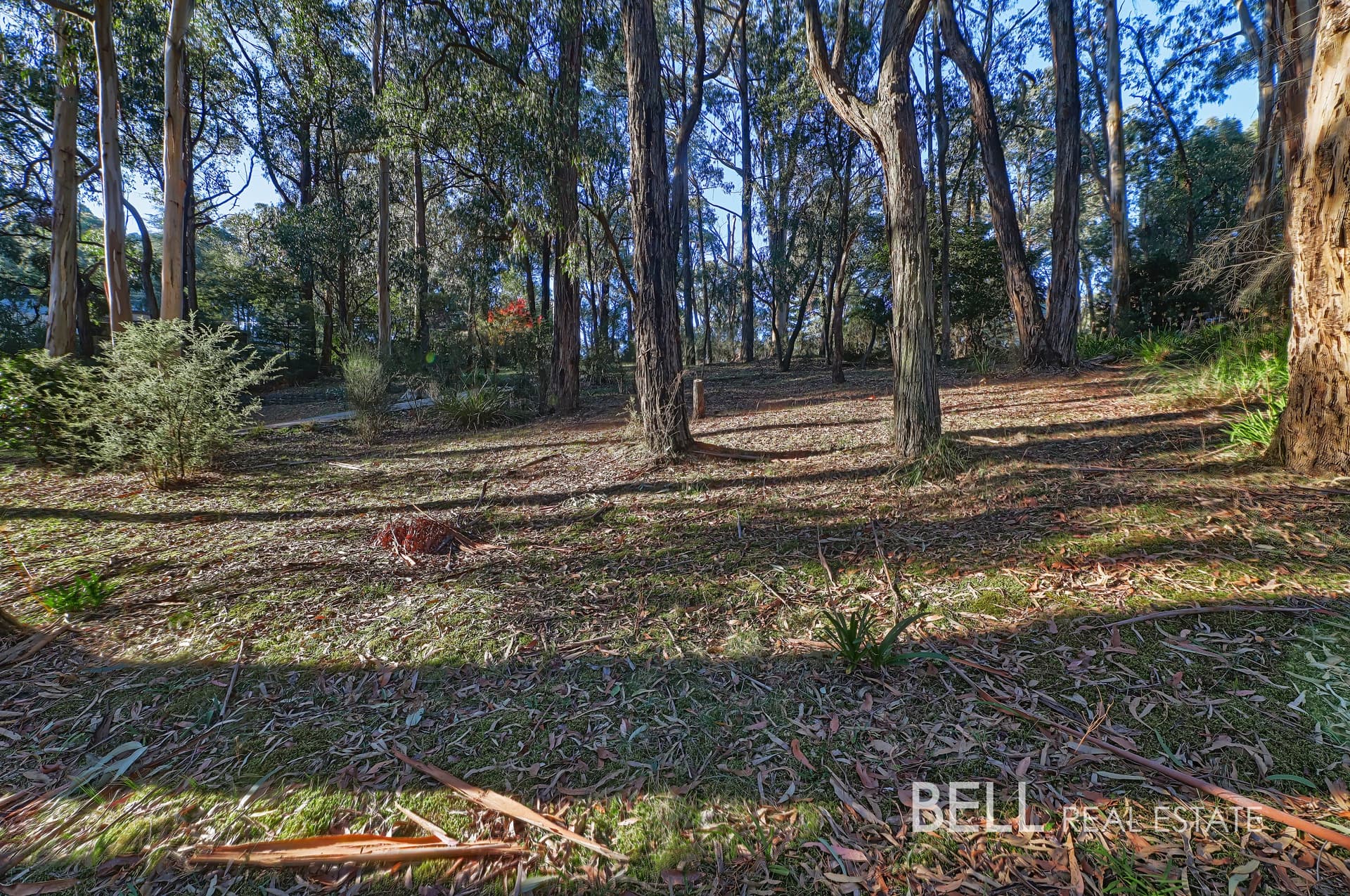 62 Kilvington Drive, EMERALD, Emerald - Thumbnail 7