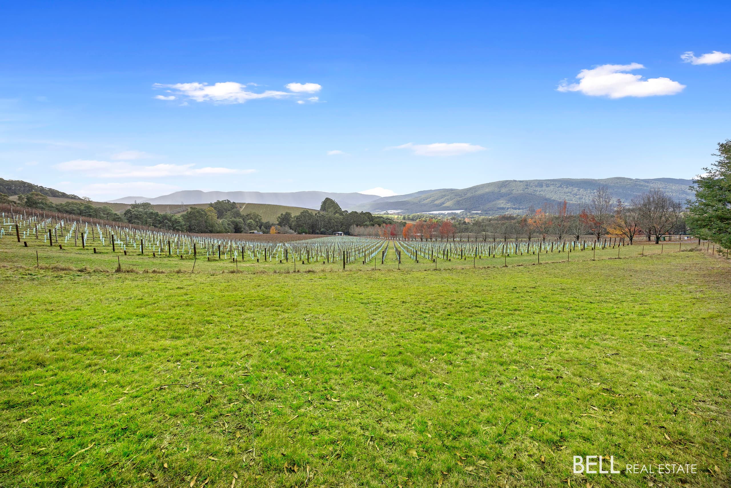 80 Prices Road, GLADYSDALE, Gladysdale - Thumbnail 6