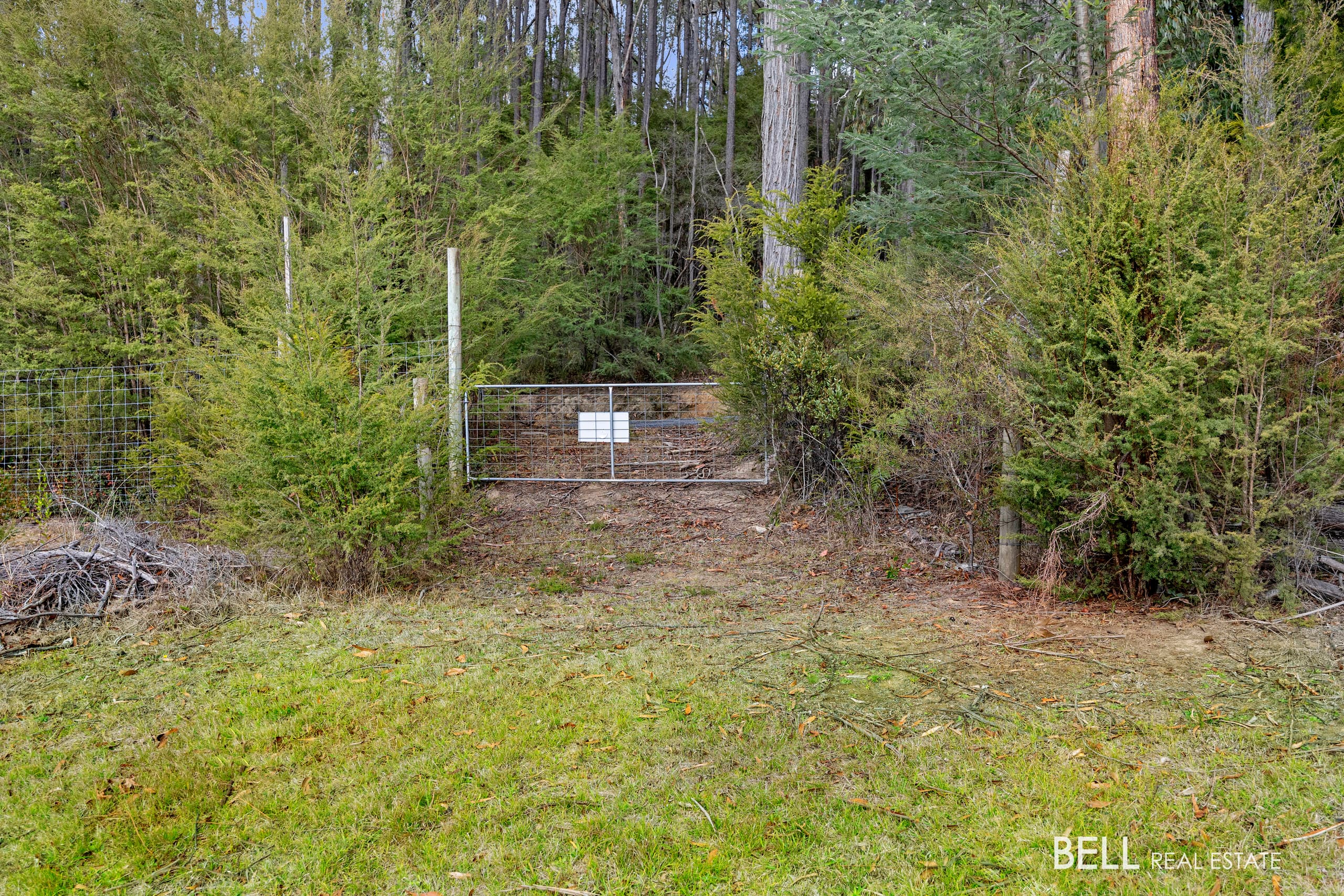 80 Prices Road, GLADYSDALE, Gladysdale - Thumbnail 7