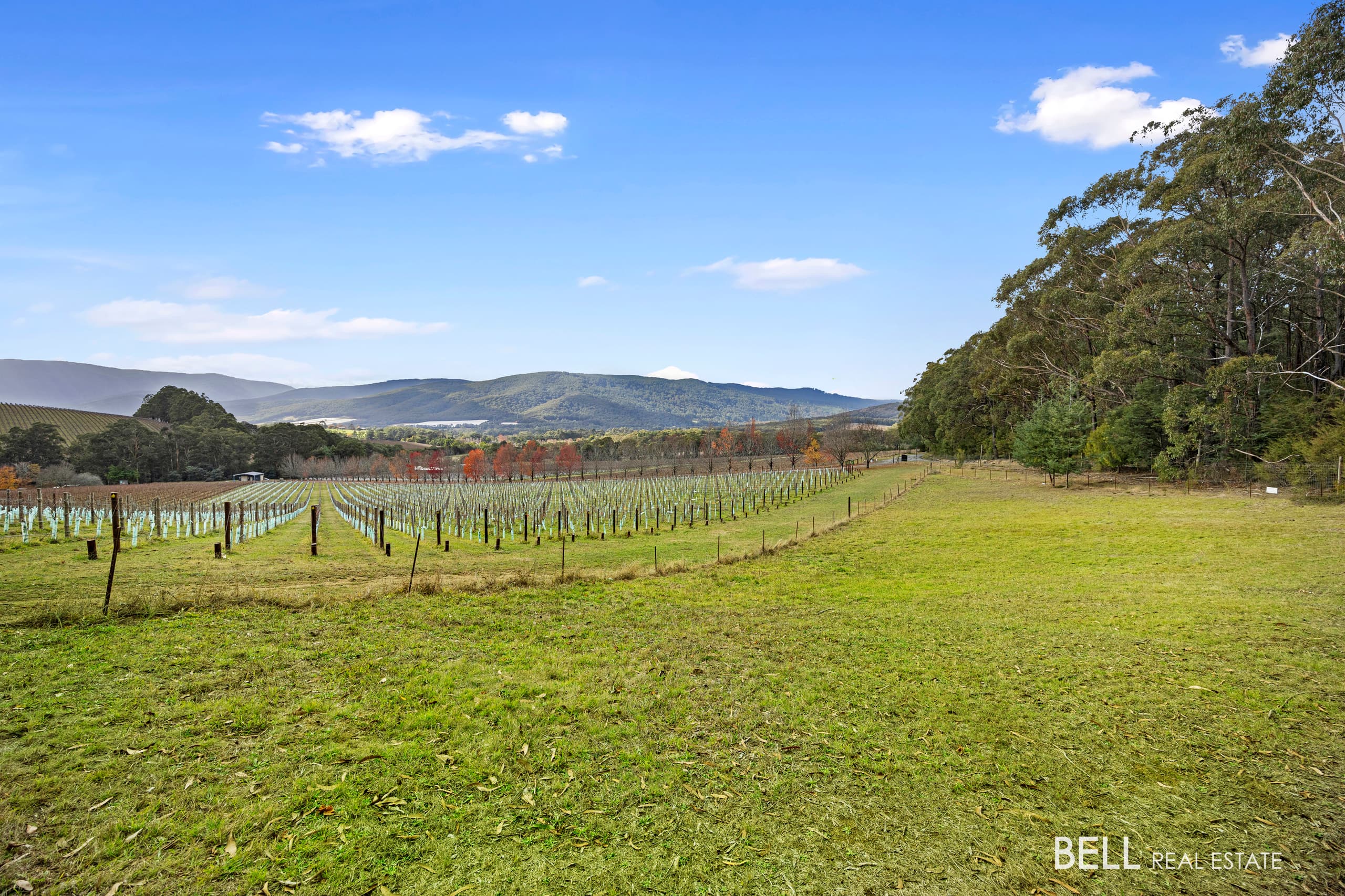 80 Prices Road, GLADYSDALE, Gladysdale - Image 1