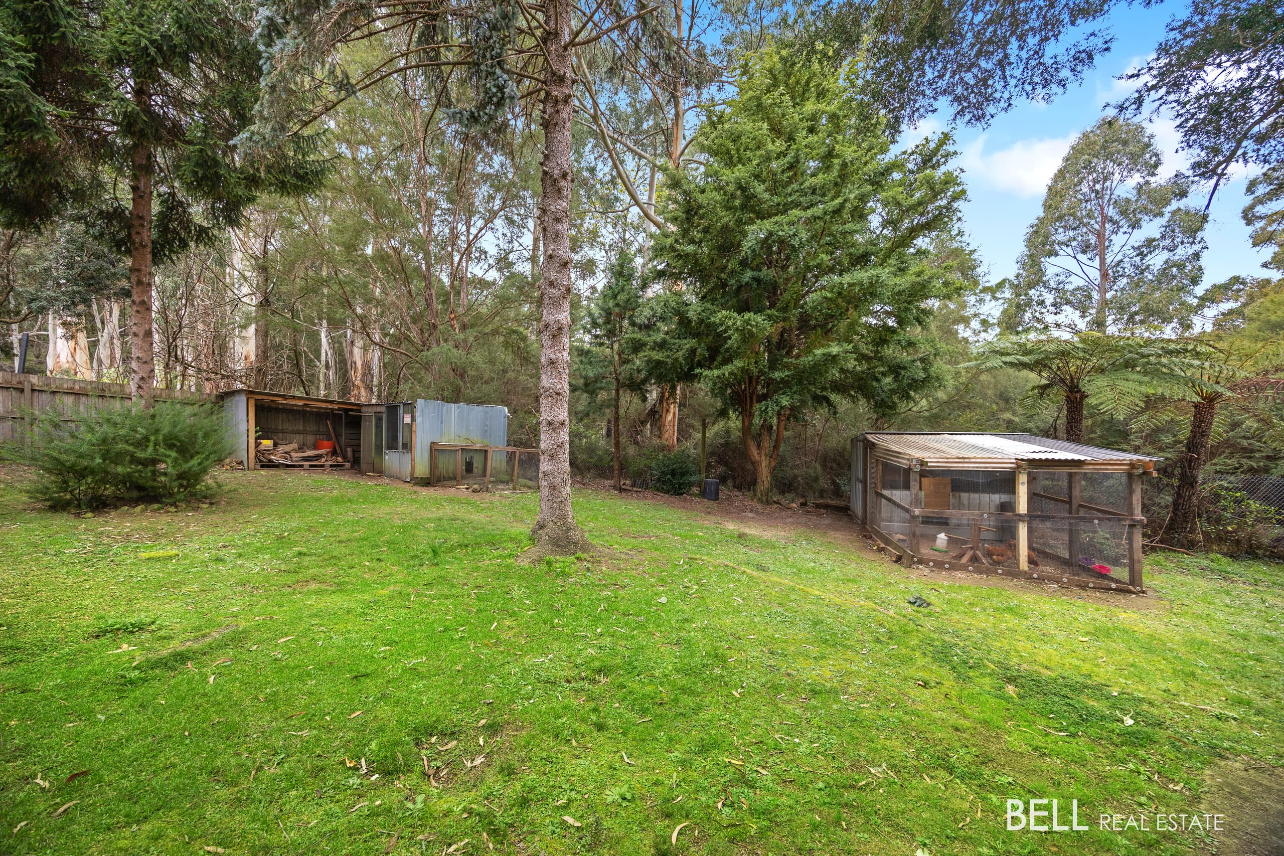 44 Carroll Avenue, MILLGROVE, Millgrove - Thumbnail 8