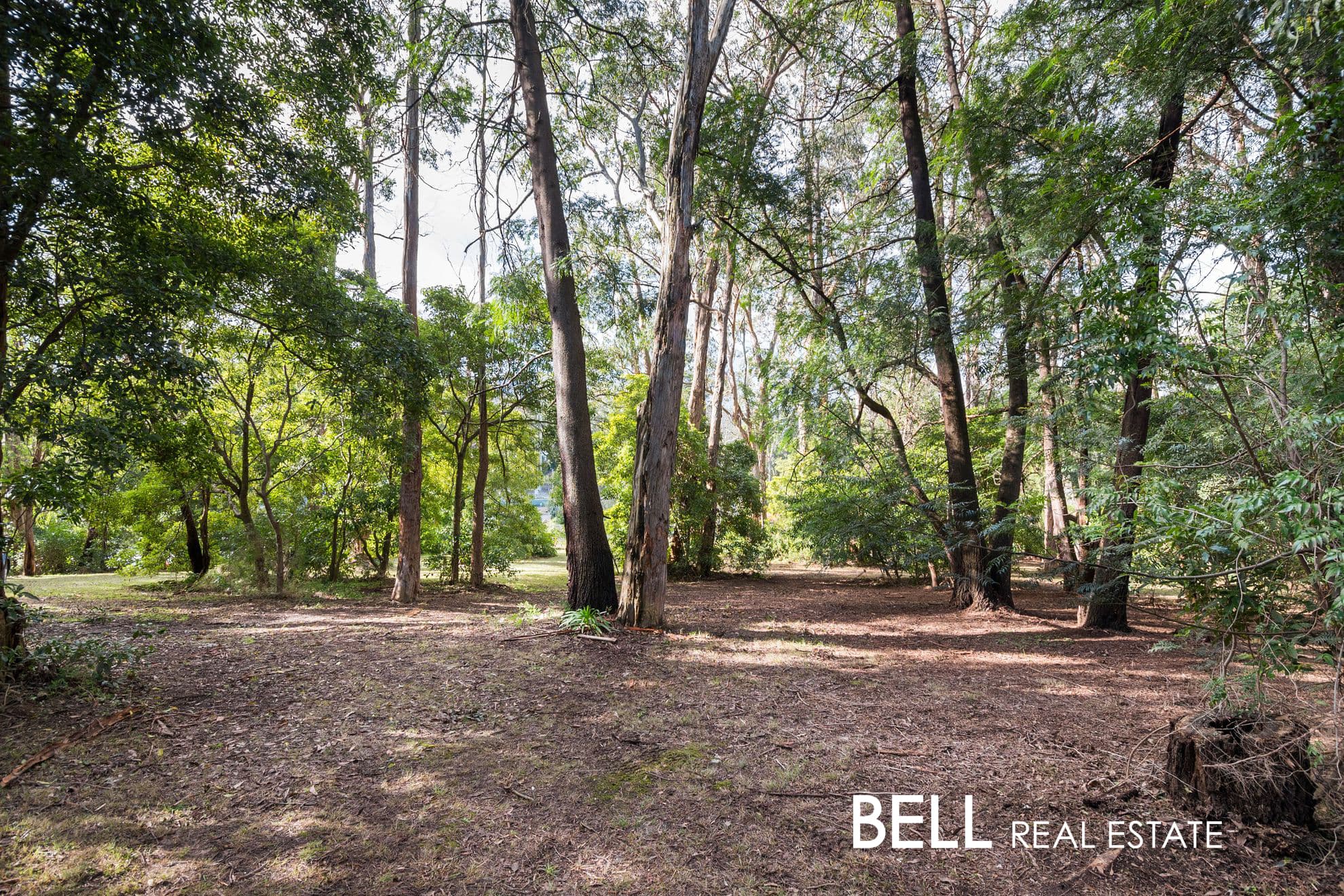 3 Mahony Street, UPWEY, Upwey - Image 1