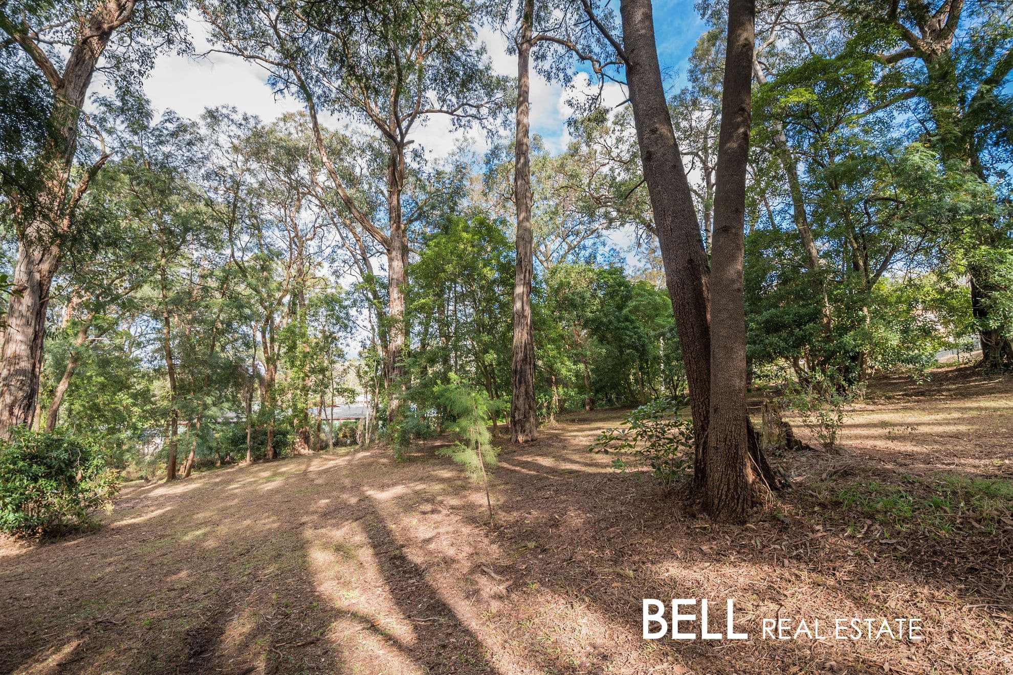 3 Mahony Street, UPWEY, Upwey - Thumbnail 8
